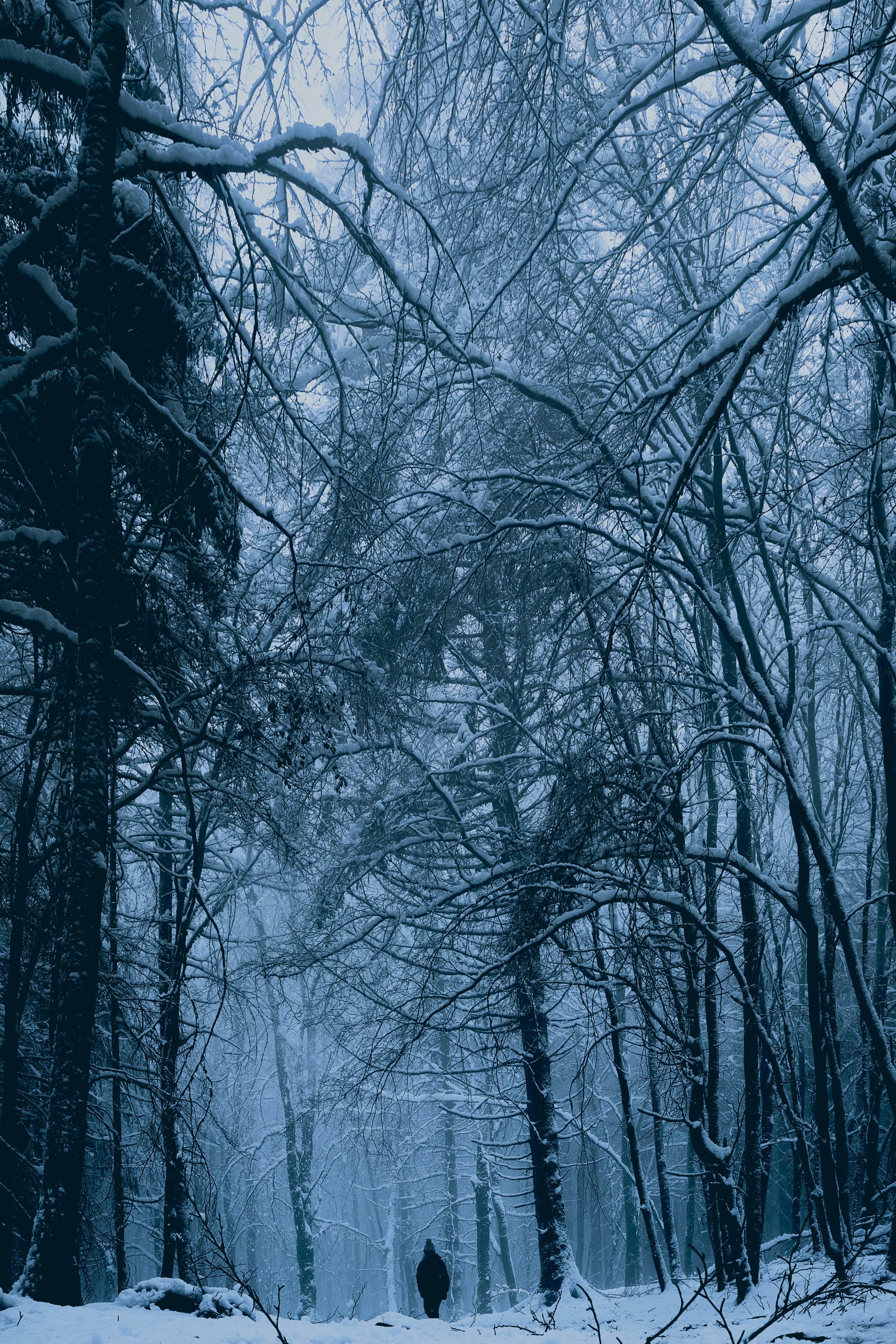 Photo by kevinmueller