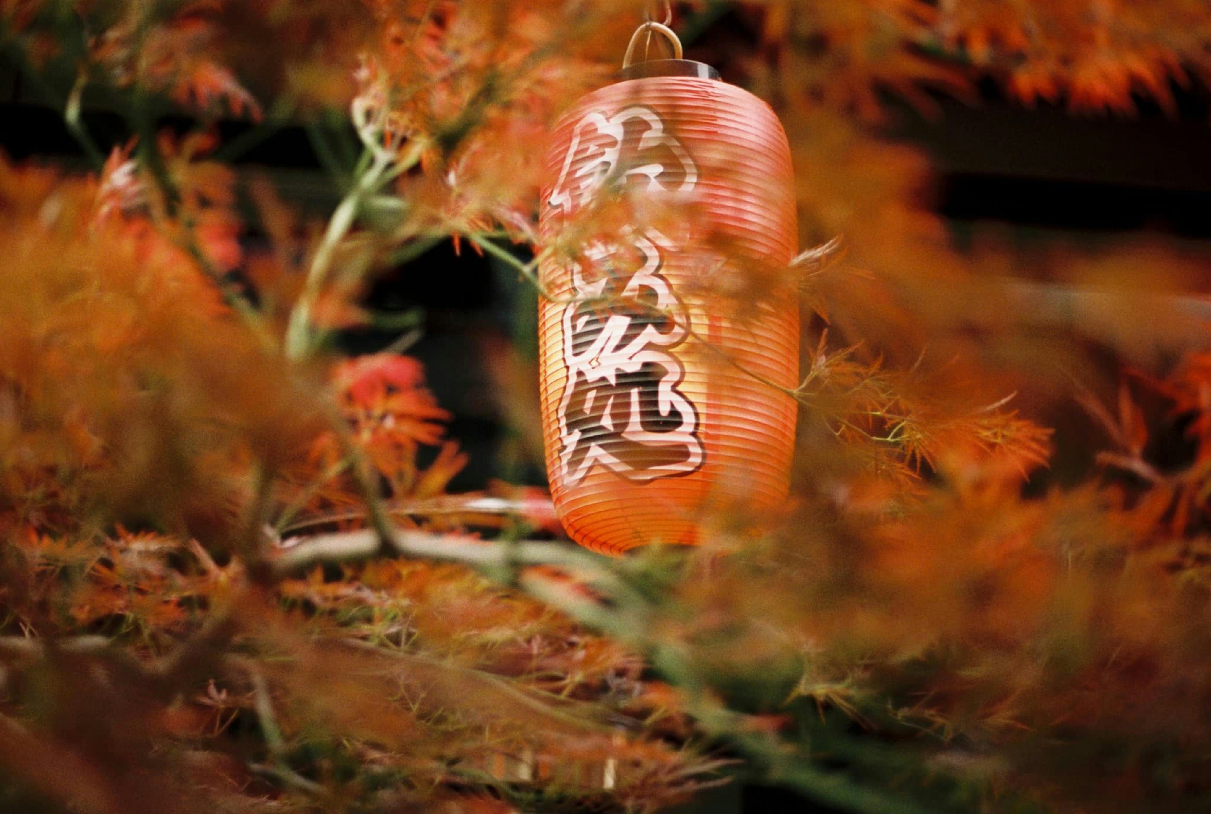 Lomography Lomo MC-A: Analog Dünyasında Yeni Bir Dönem