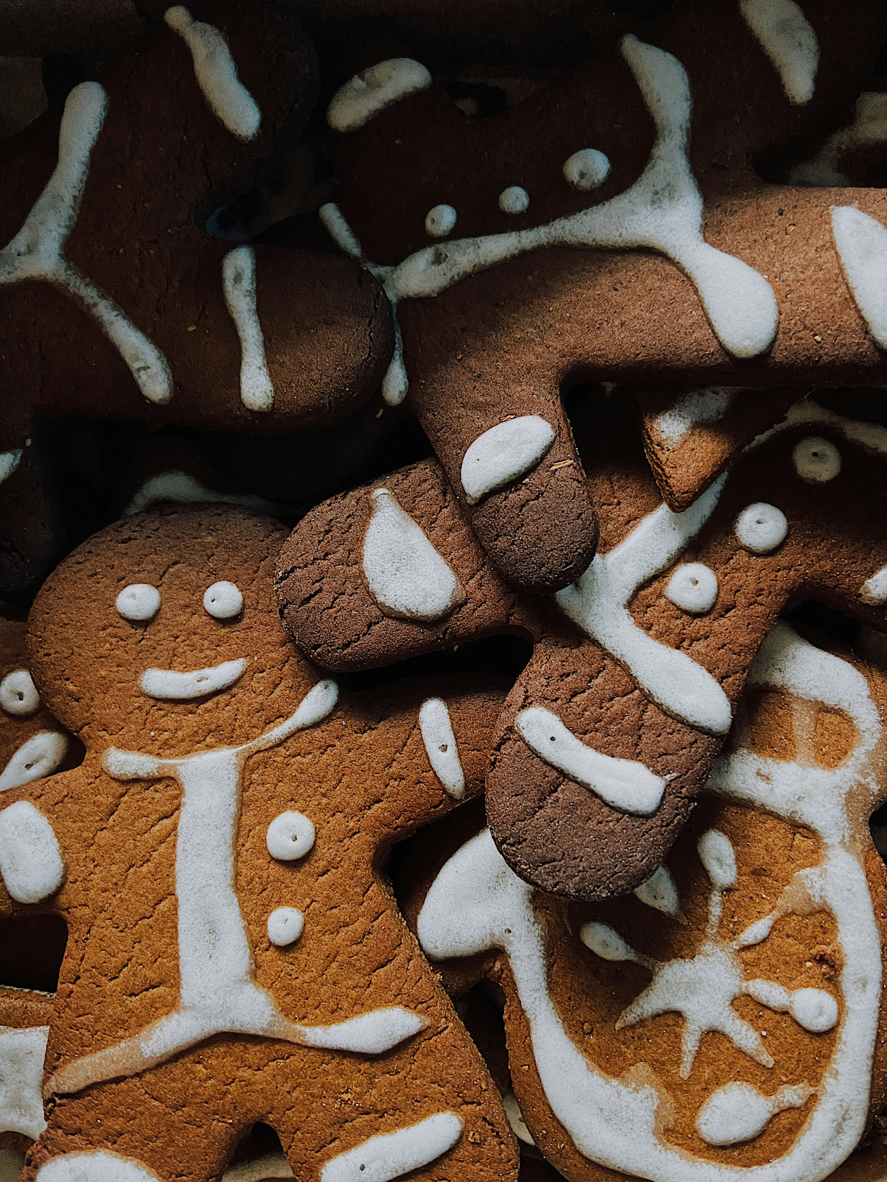 Can Dogs Eat Gingerbread