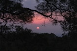 A tranquil sunset view symbolizing hope and renewal.