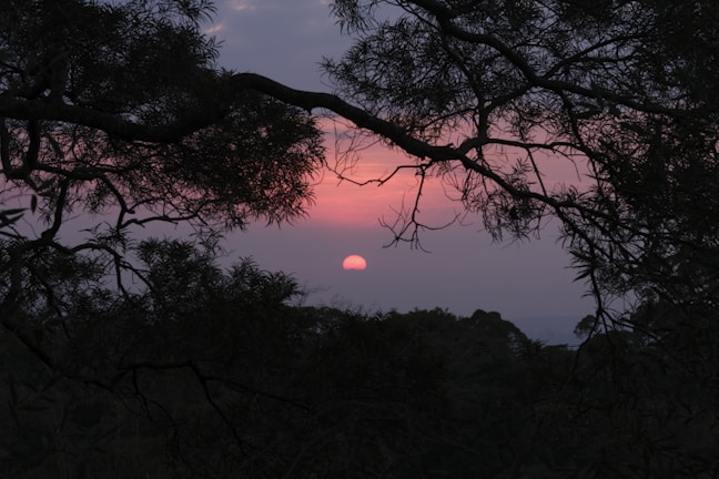 A sunset view symbolizing hope and healing.