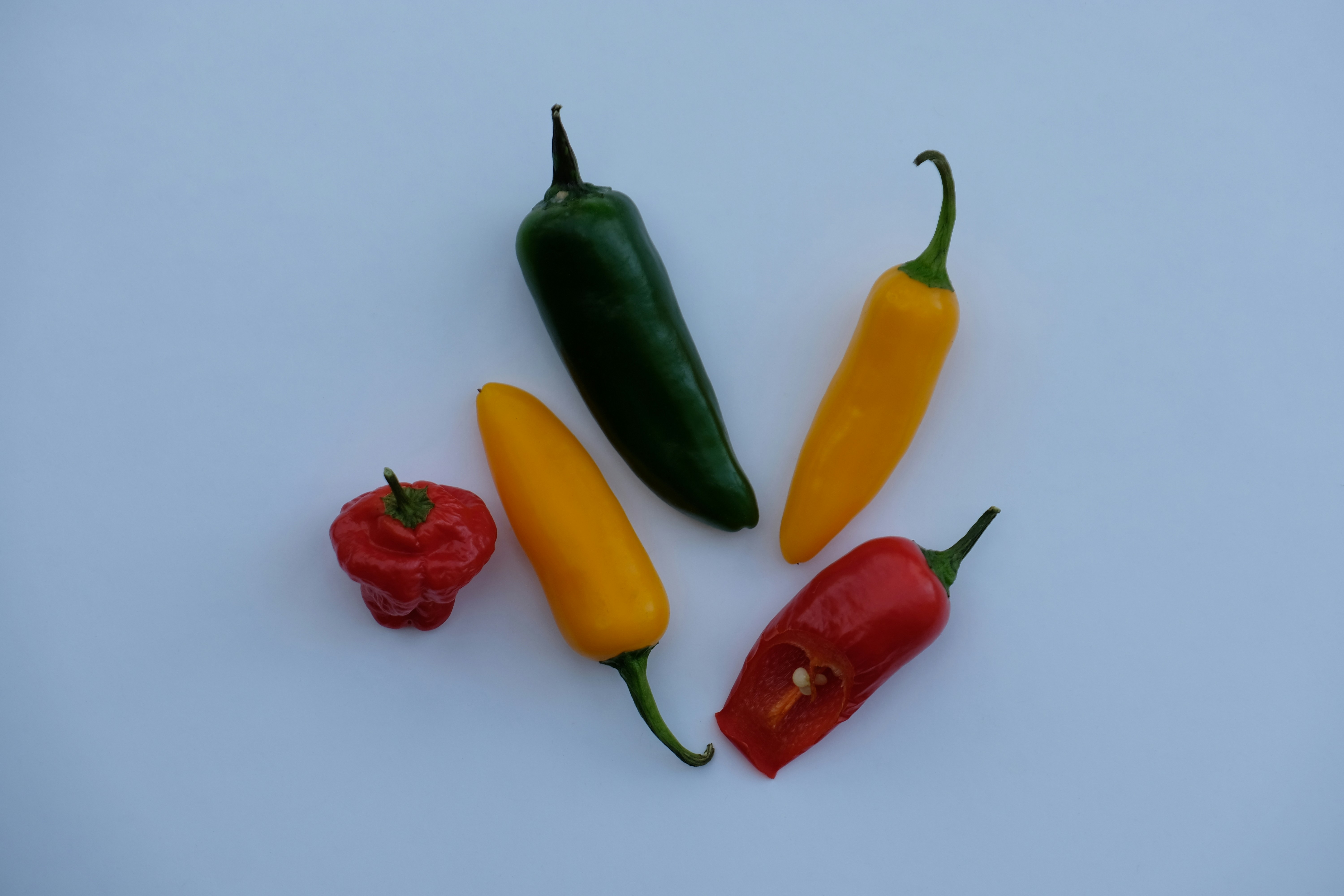 Photo by boudewijn_huysmans