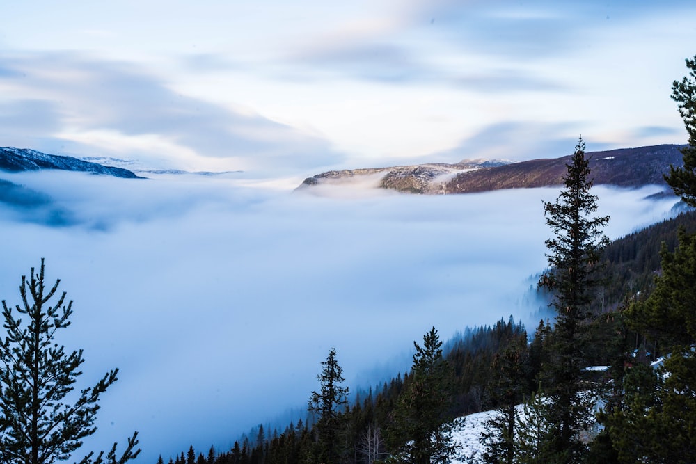 a view of a mountain covered in low lying clouds