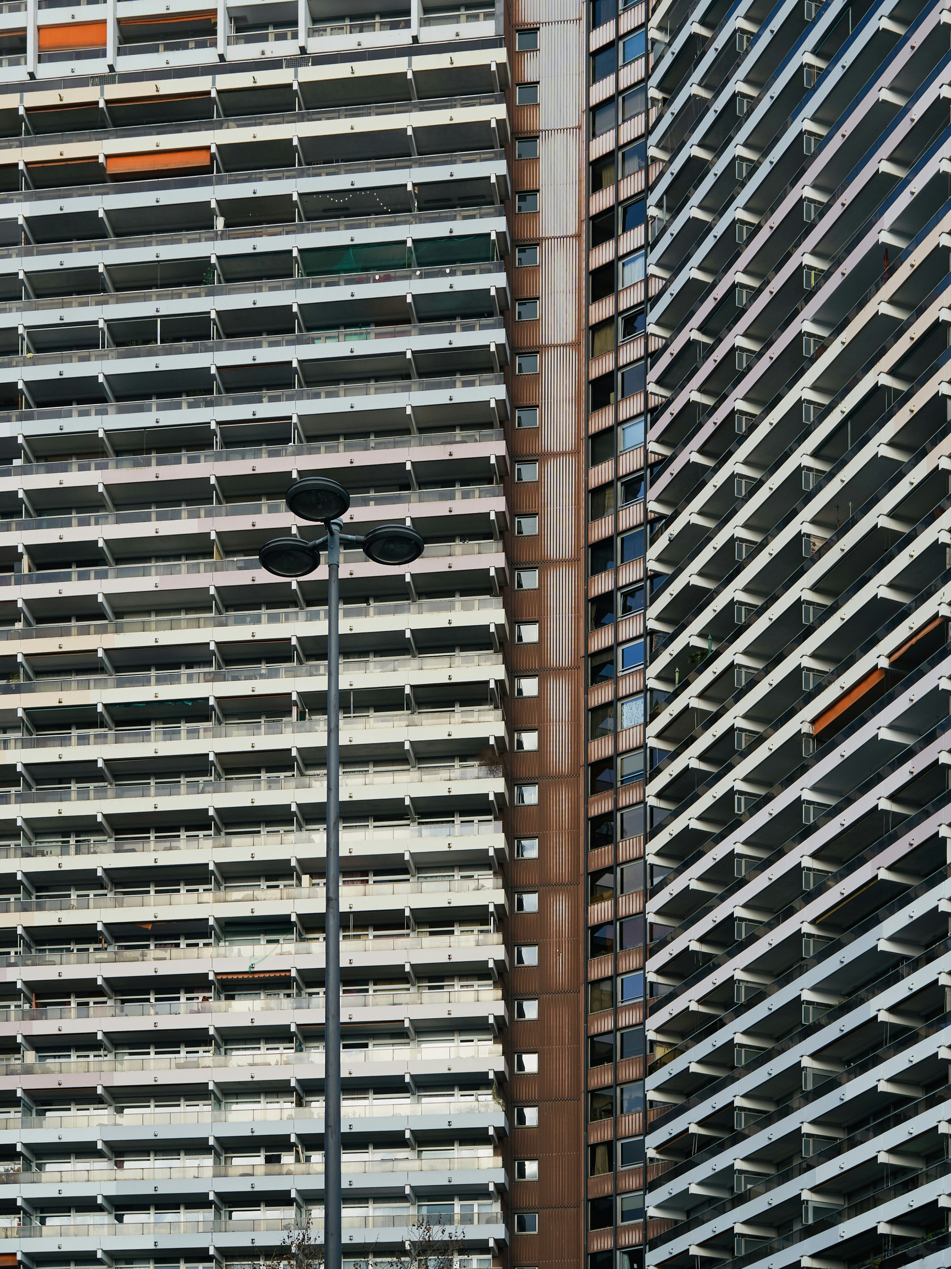 Photo by zhengyaosheng