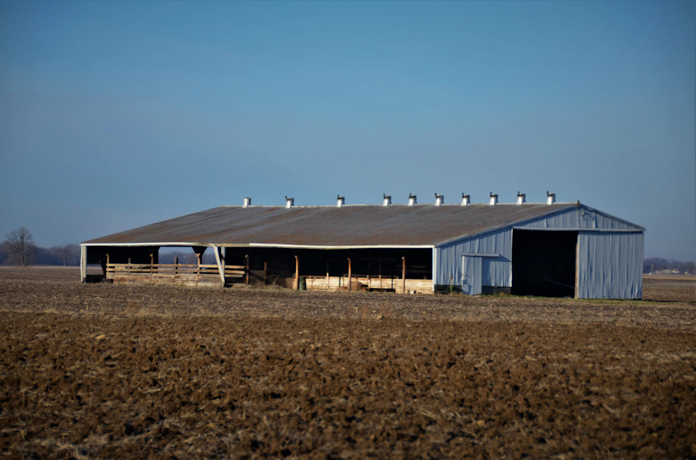 Long steel agricultural building with white walls and gray roof