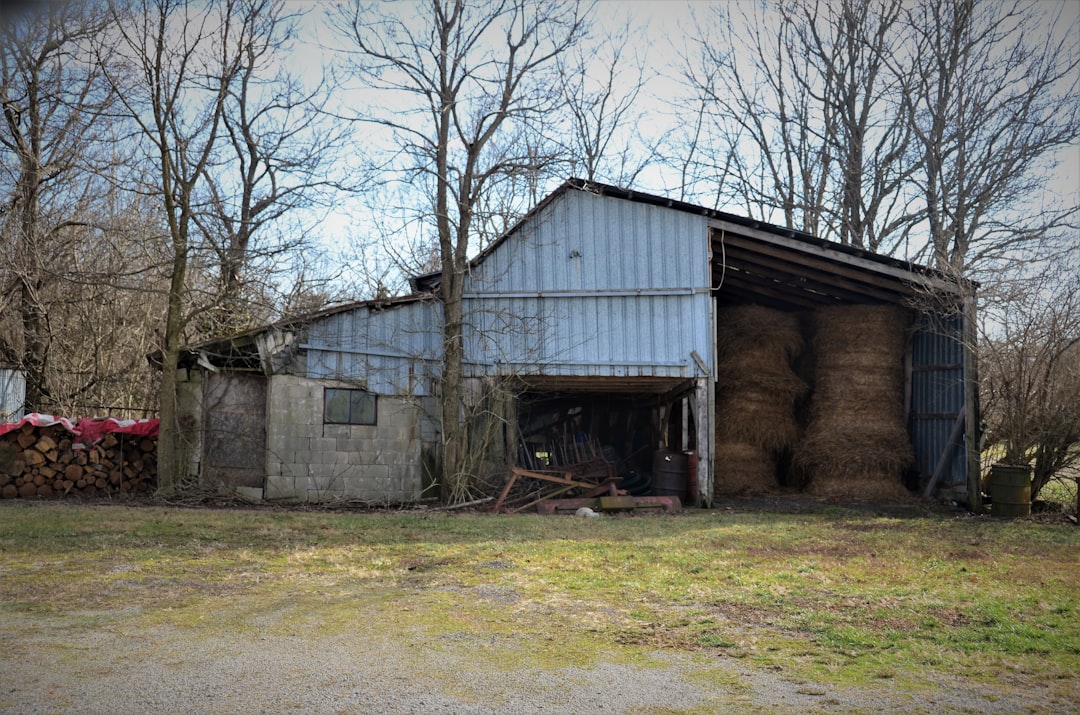 brown wooden house near bare trees during daytime