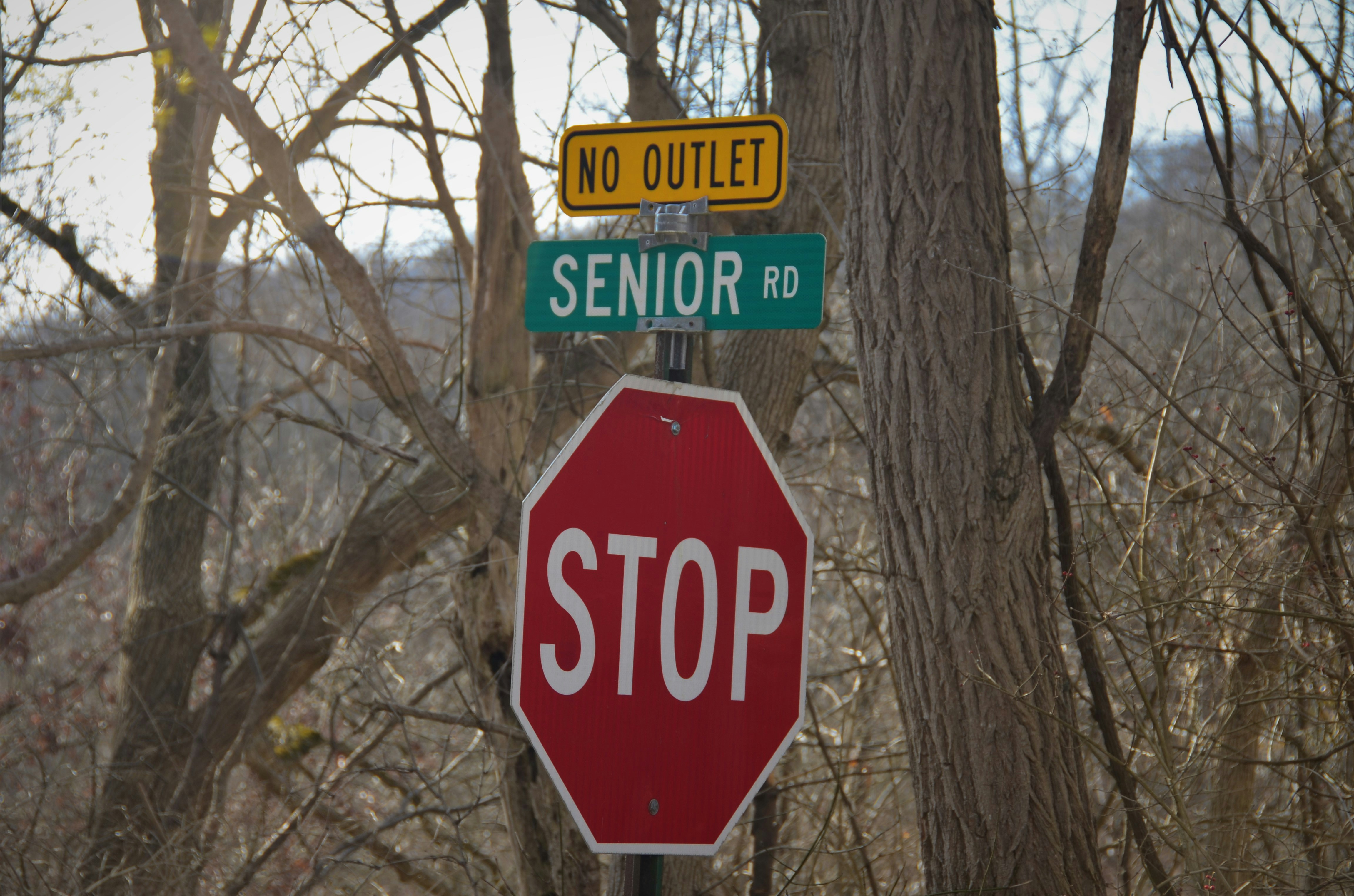Signes d'urgence : Quand contacter une aide à domicile pour seniors à Ajaccio ?