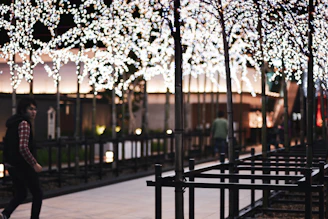 Outdoor walkway lined with stylish solar lights creating a welcoming evening atmosphere.