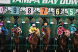 A group of jockeys and horses are lined up in starting gates at a horse racing track. The gate shows numbers from 5 to 9, and each horse is equipped with colorful saddle blankets and headgear. The jockeys are wearing brightly colored uniforms and helmets. The setting indicates the beginning of a horse race.
