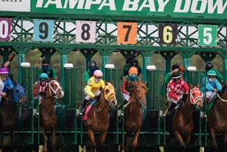 A group of jockeys and horses are lined up in starting gates at a horse racing track. The gate shows numbers from 5 to 9, and each horse is equipped with colorful saddle blankets and headgear. The jockeys are wearing brightly colored uniforms and helmets. The setting indicates the beginning of a horse race.