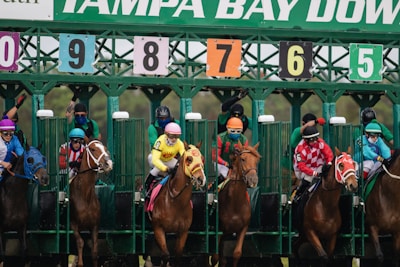 A group of jockeys and horses are lined up in starting gates at a horse racing track. The gate shows numbers from 5 to 9, and each horse is equipped with colorful saddle blankets and headgear. The jockeys are wearing brightly colored uniforms and helmets. The setting indicates the beginning of a horse race.