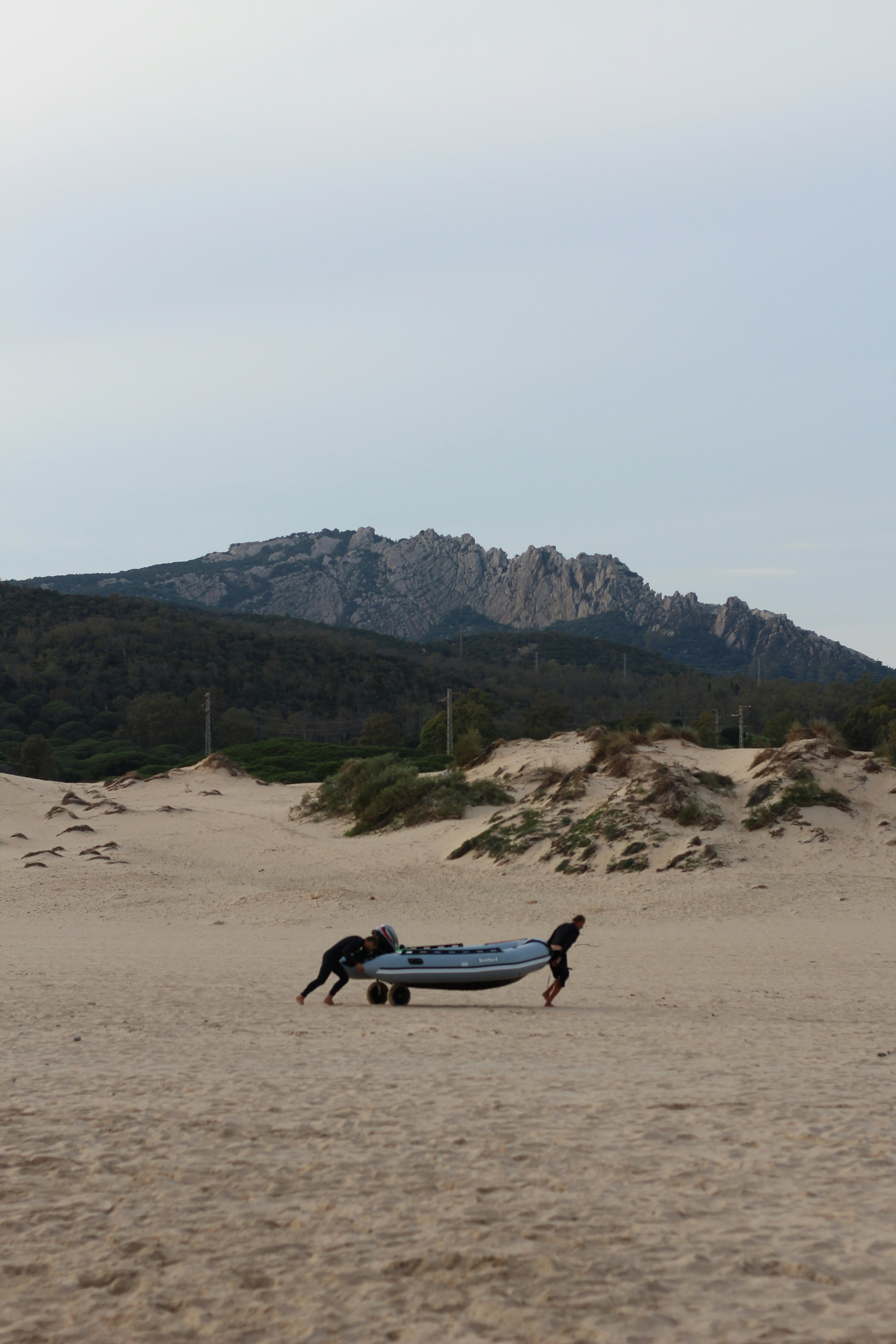 people on beach during daytime