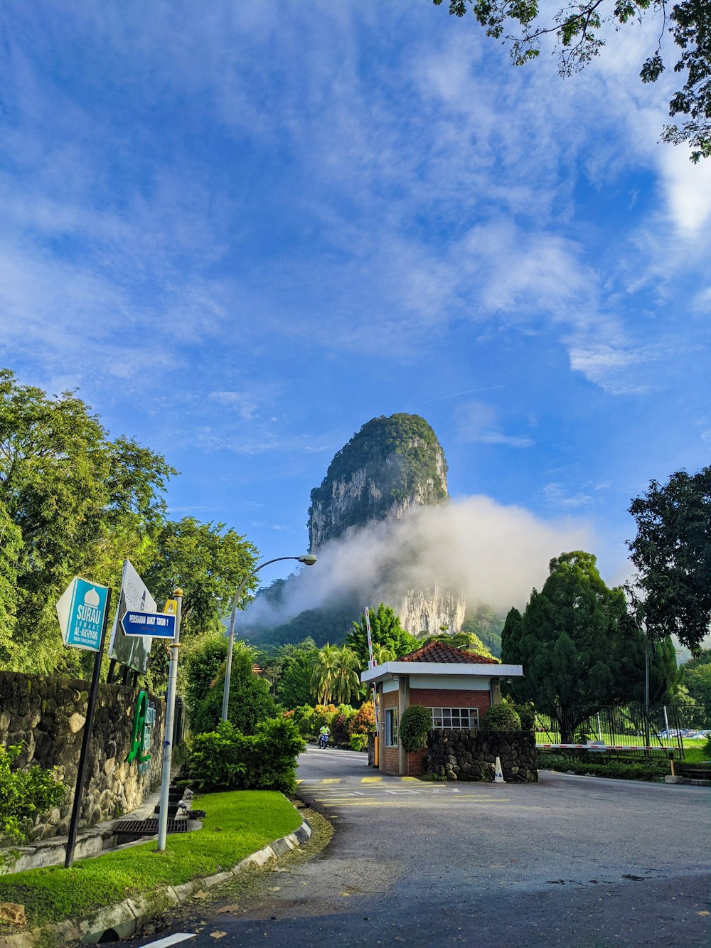 green trees and mountain under blue sky during daytime