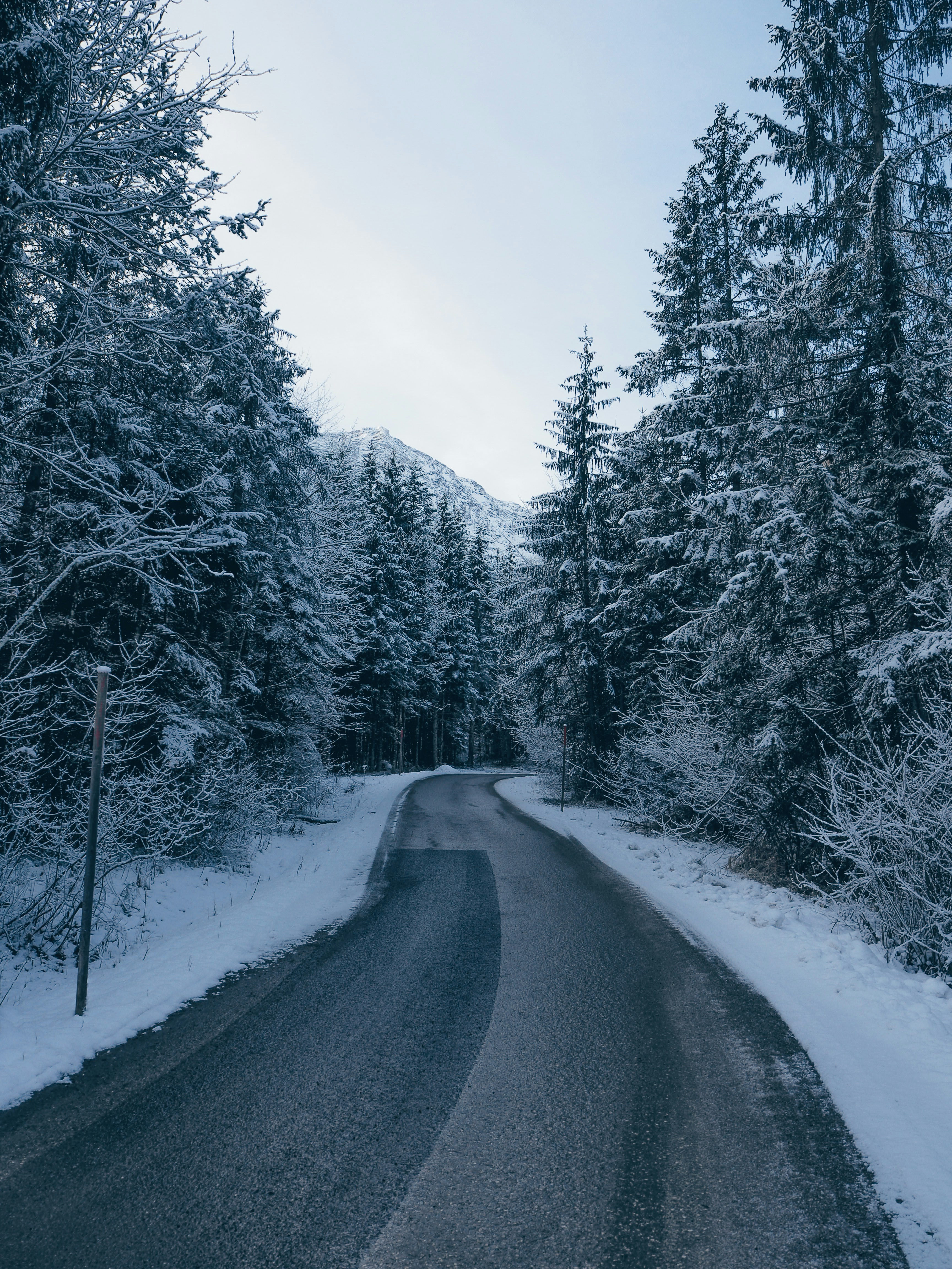 Photo by laurachouette