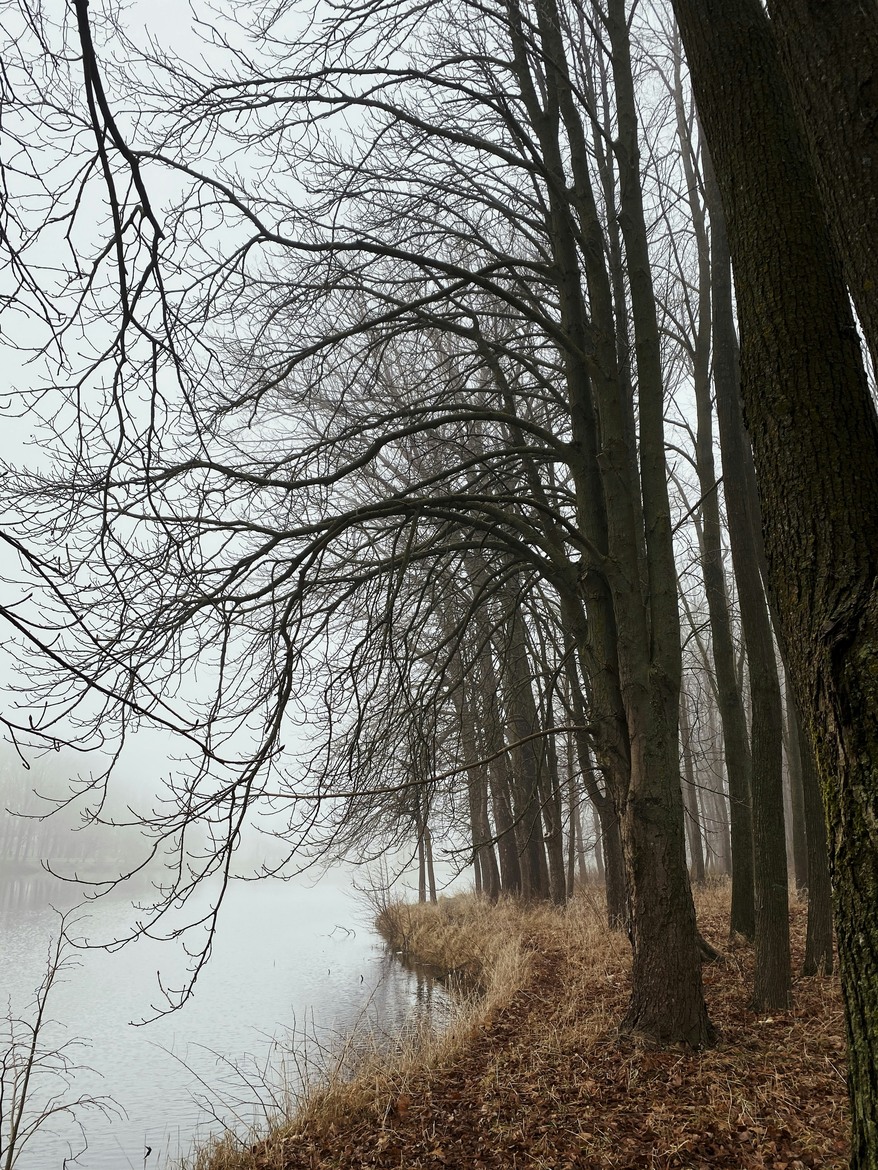 Photo by graphicnode