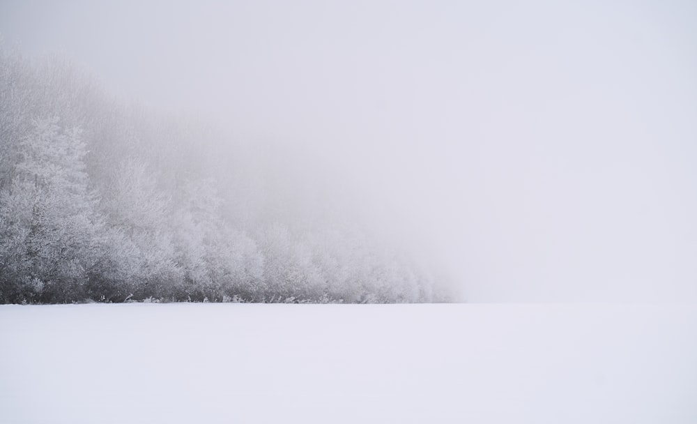 white snow on white background