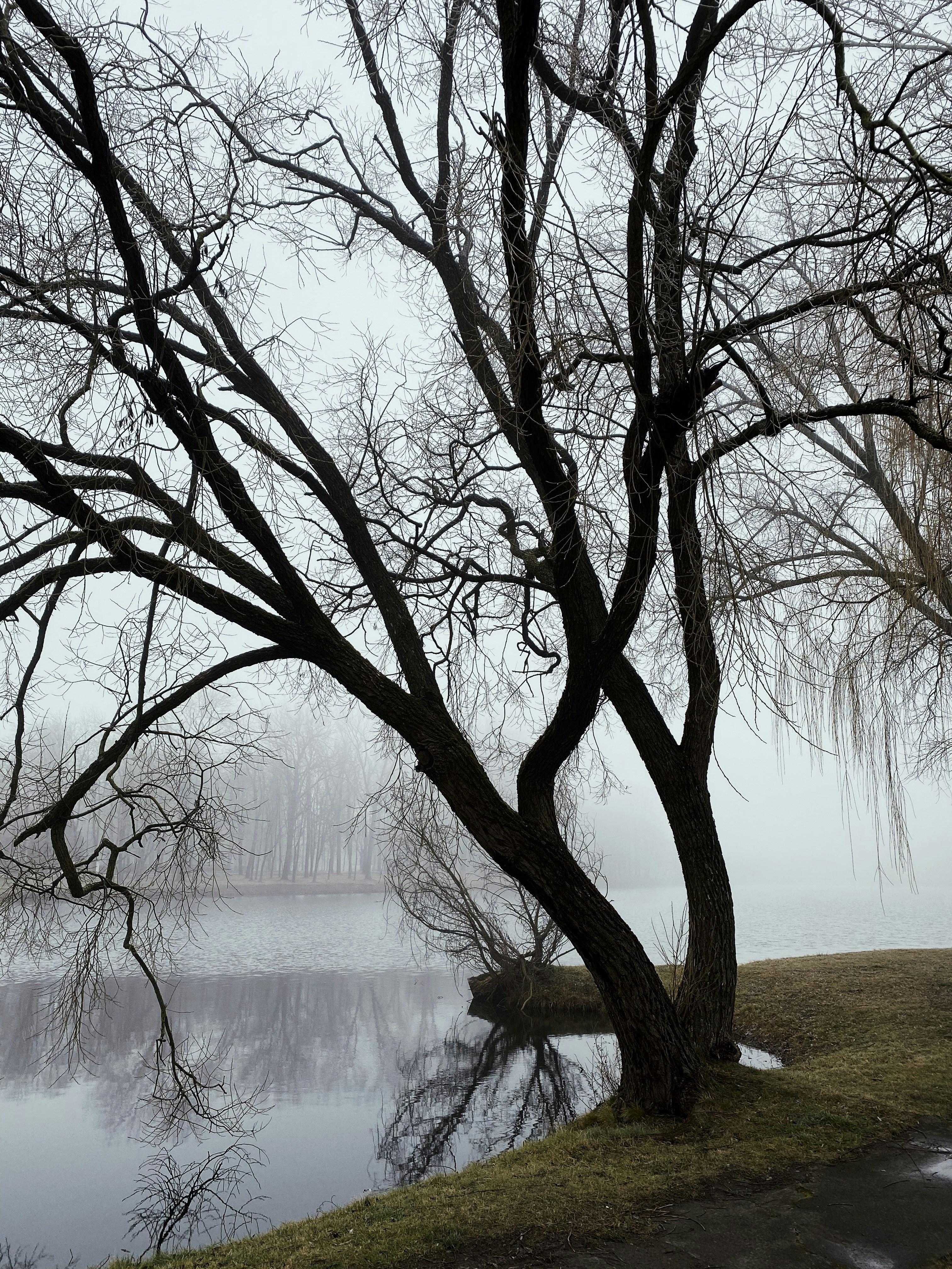 Photo by graphicnode