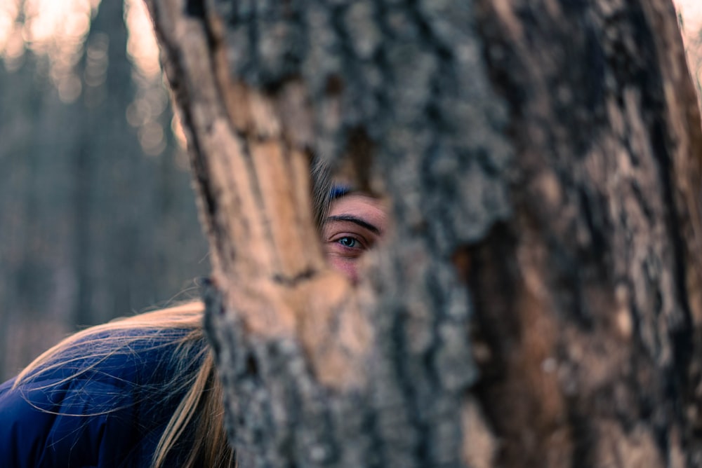 Mujer con camisa azul trepando en un árbol marrón durante el día