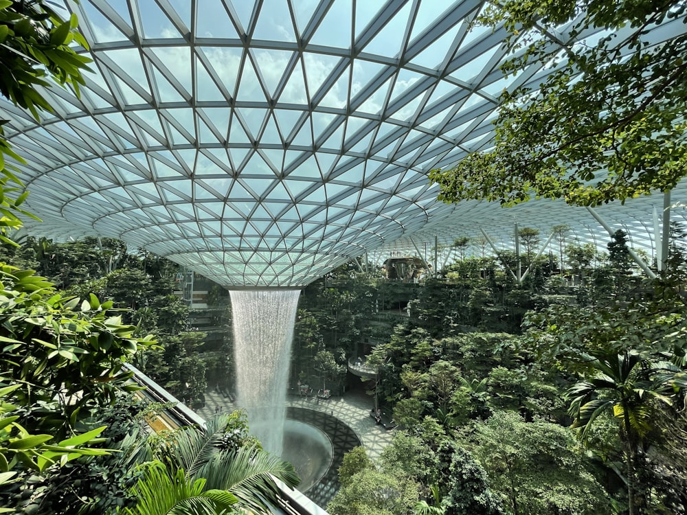 water falls in the middle of green trees