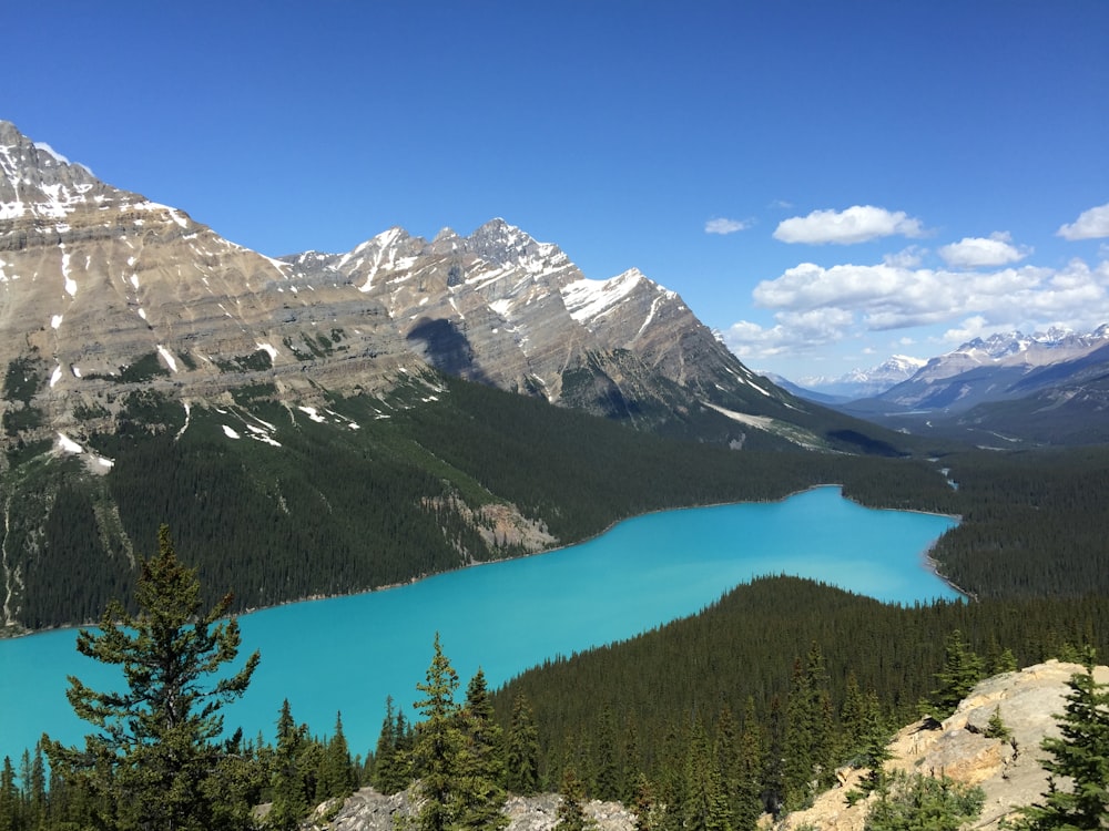 árvores verdes e lago sob o céu azul durante o dia