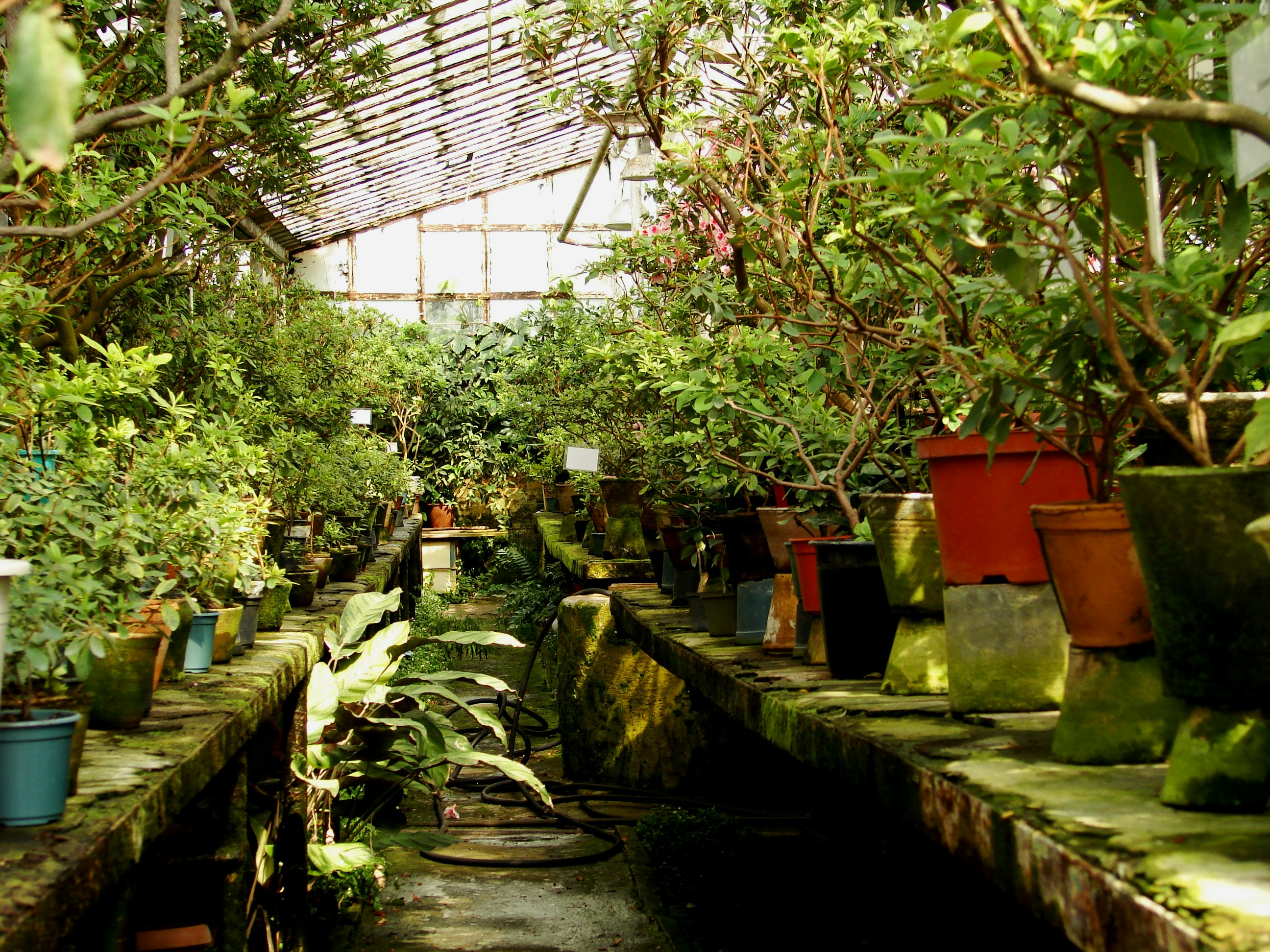 Photo by artsideofmine