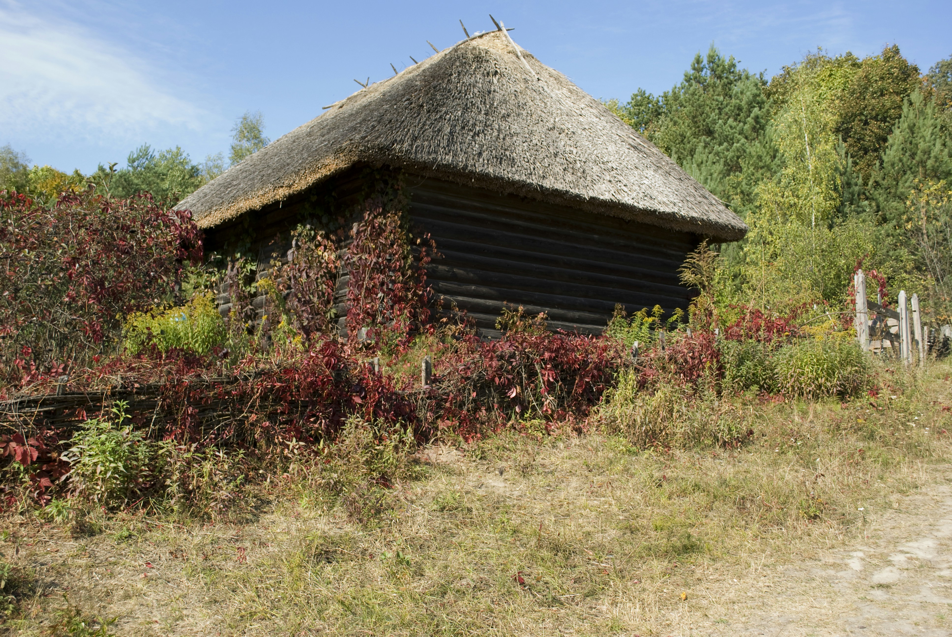 Brown wooden house near green grass field during daytime photo – Free ...