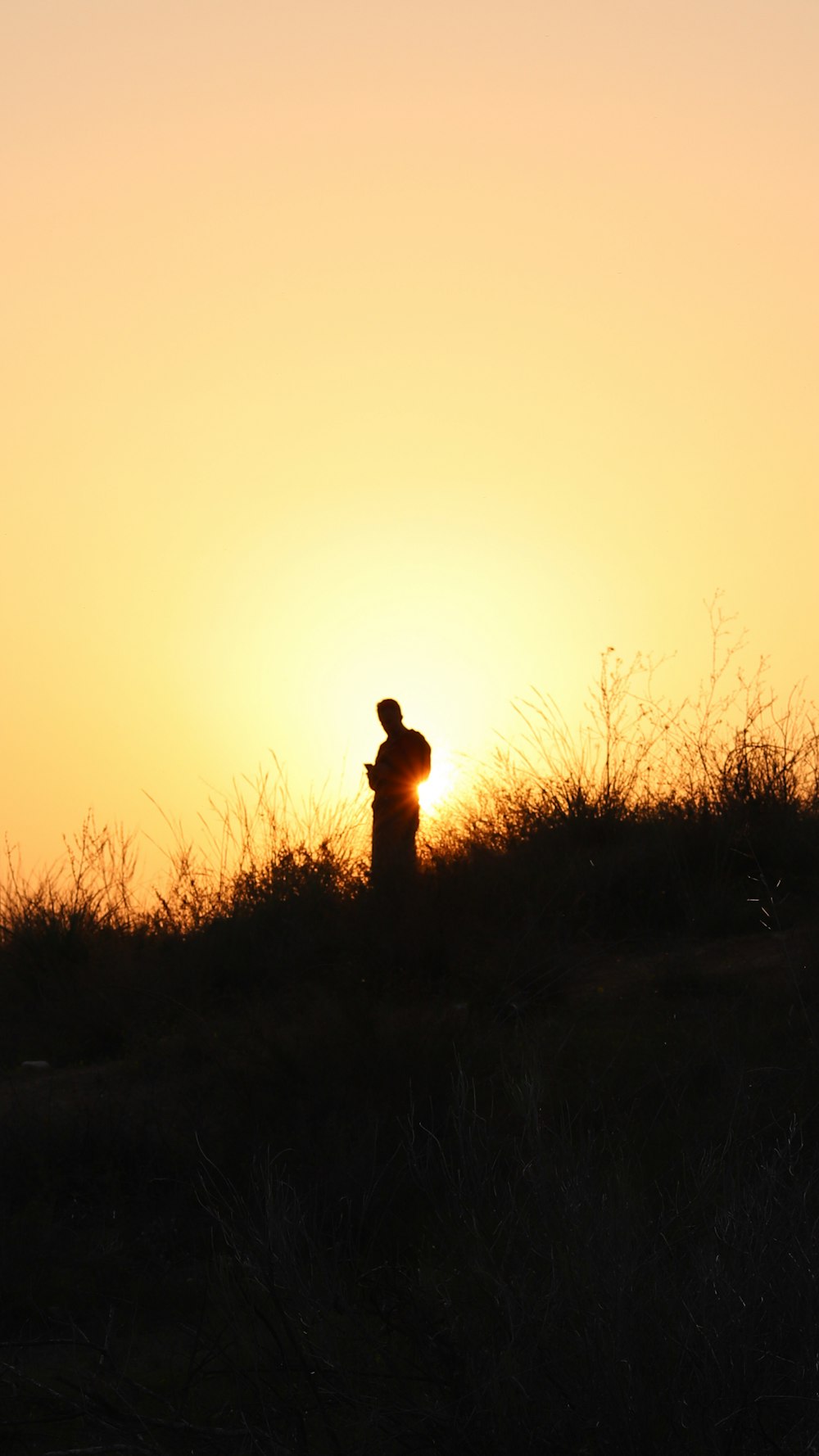 silhouette of man standing on grass field during sunset