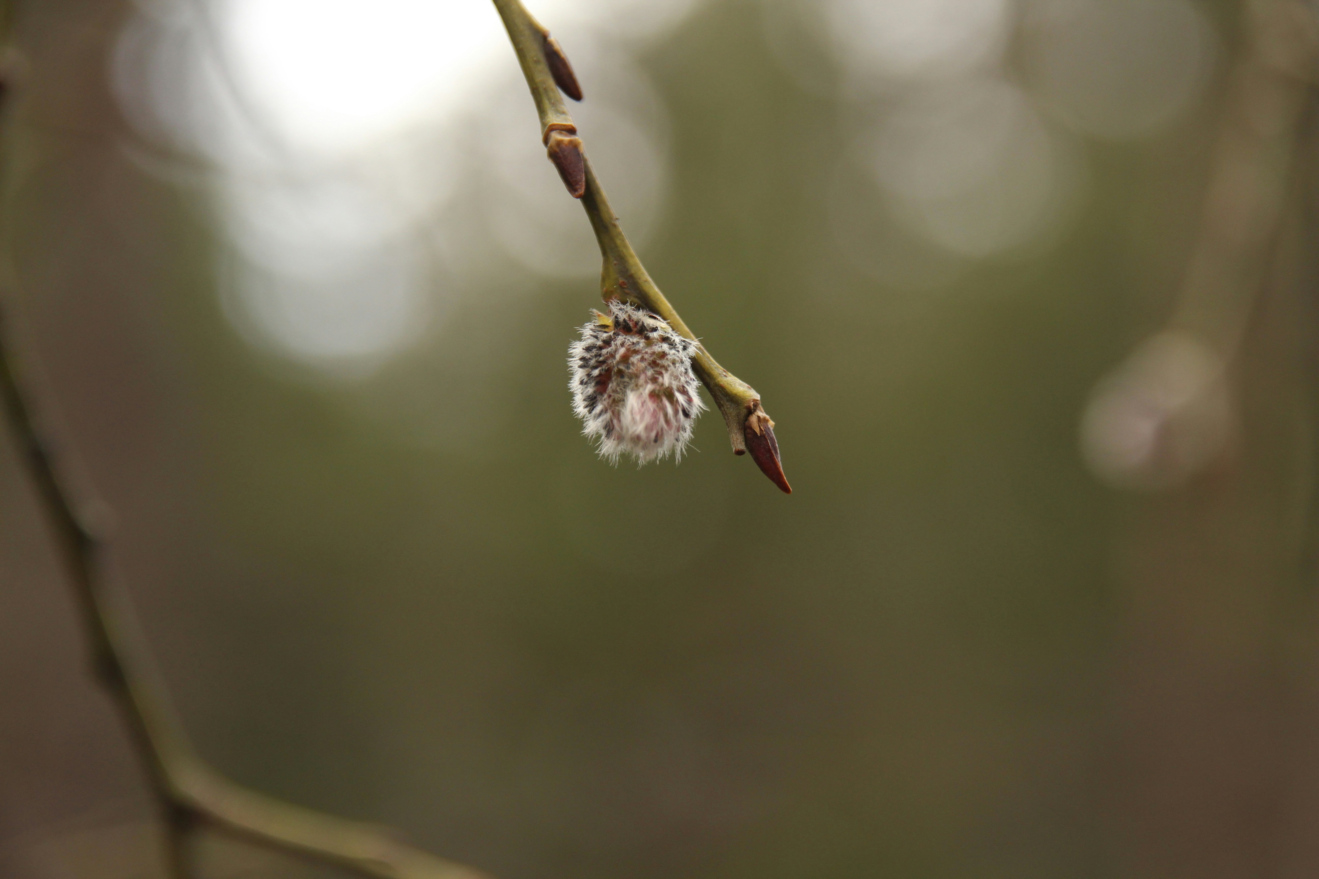 Photo by artturijalli