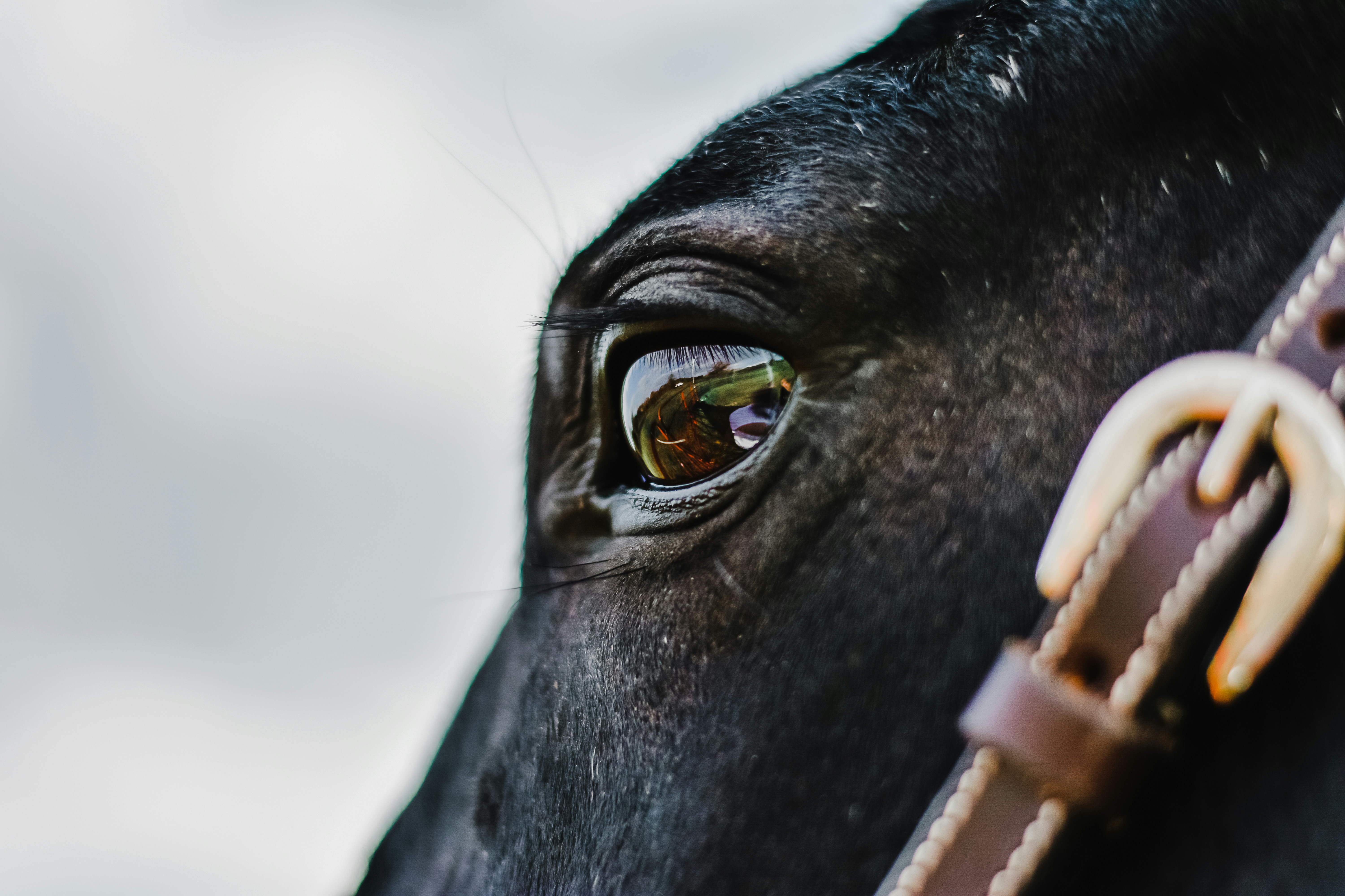 Photo by sassyfrass_101