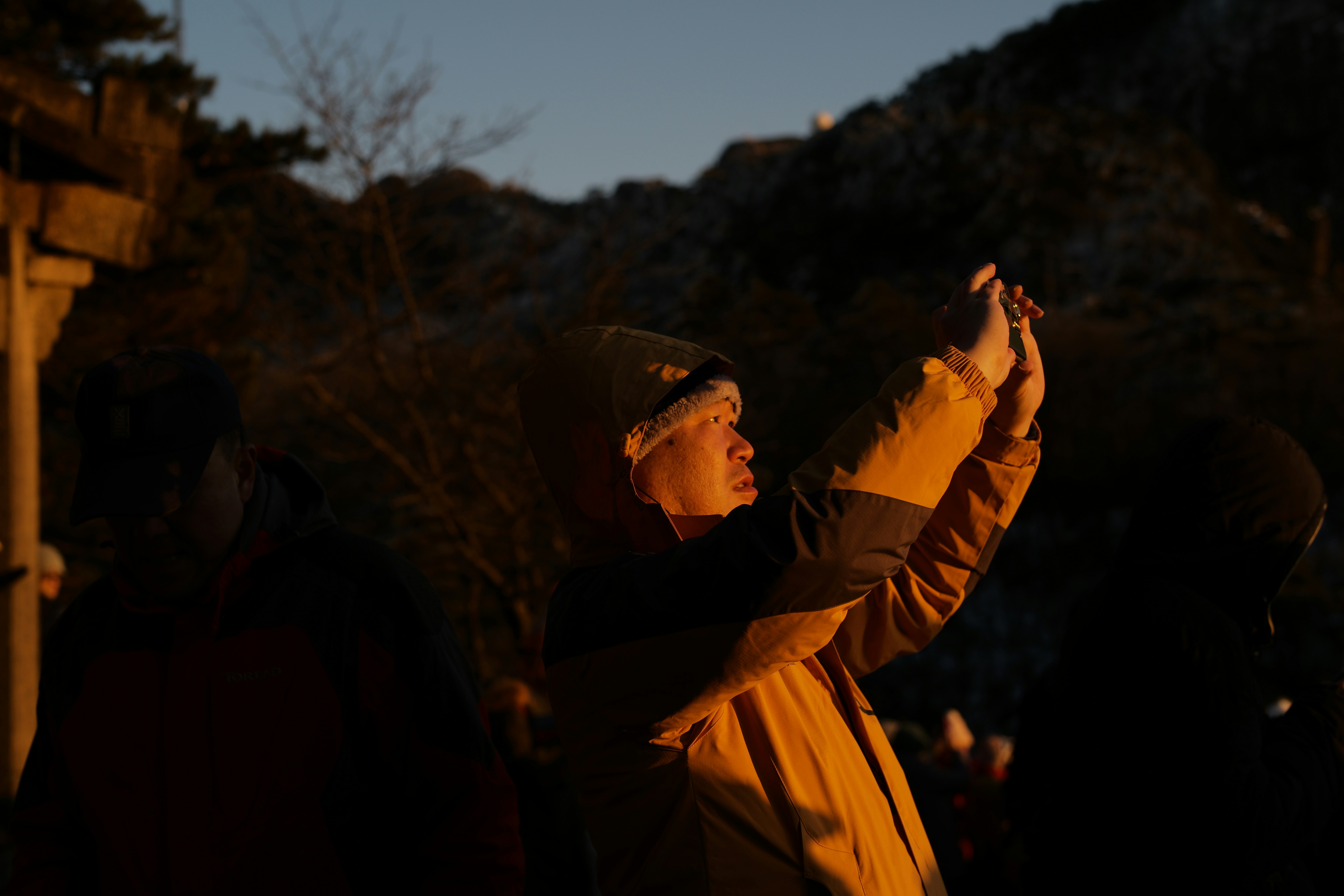 man in yellow jacket and brown knit cap standing near trees during daytime