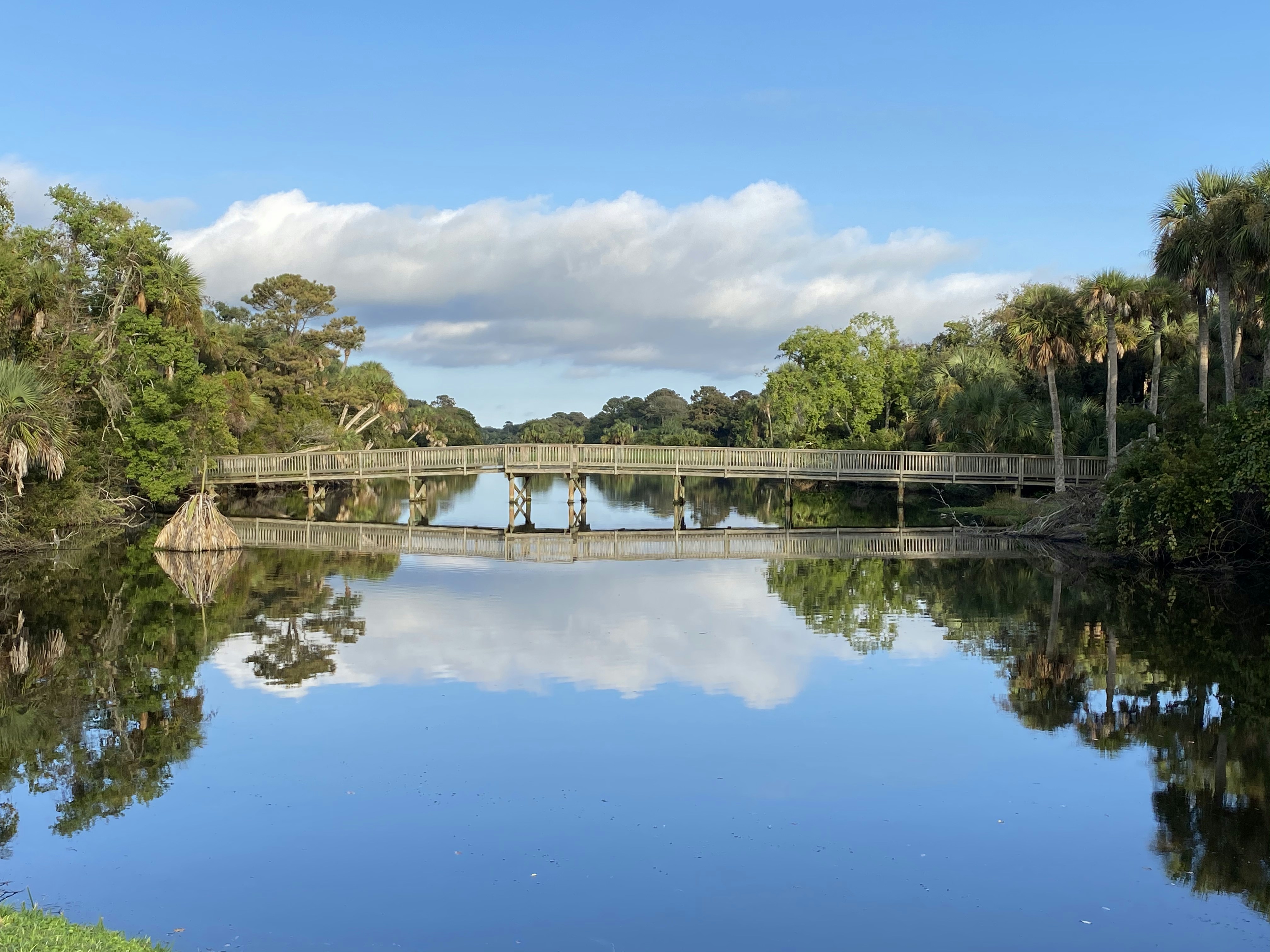 Photo by accesscoach