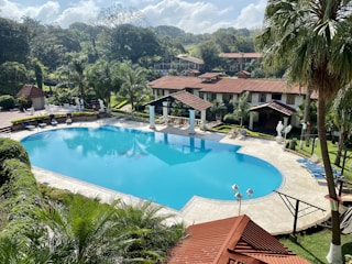 A beautifully landscaped outdoor area with a pool.