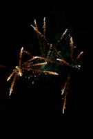 Bright bursts of fireworks light up the night sky with trails of orange and white sparks fanning out in different directions.