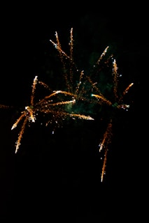 Bright bursts of fireworks light up the night sky with trails of orange and white sparks fanning out in different directions.