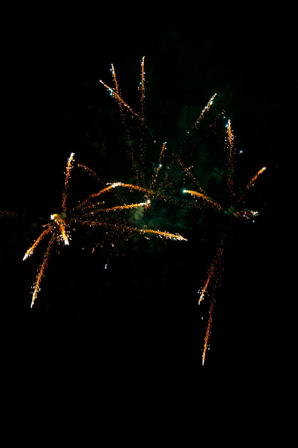 green and brown plant during night time