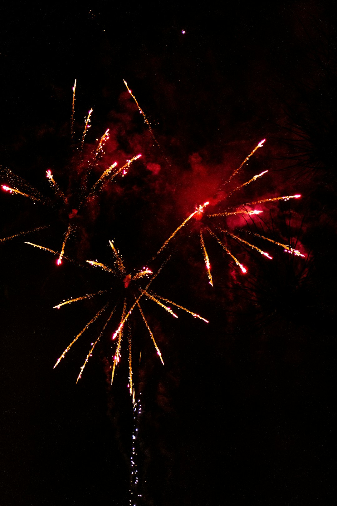 red and yellow fireworks during nighttime