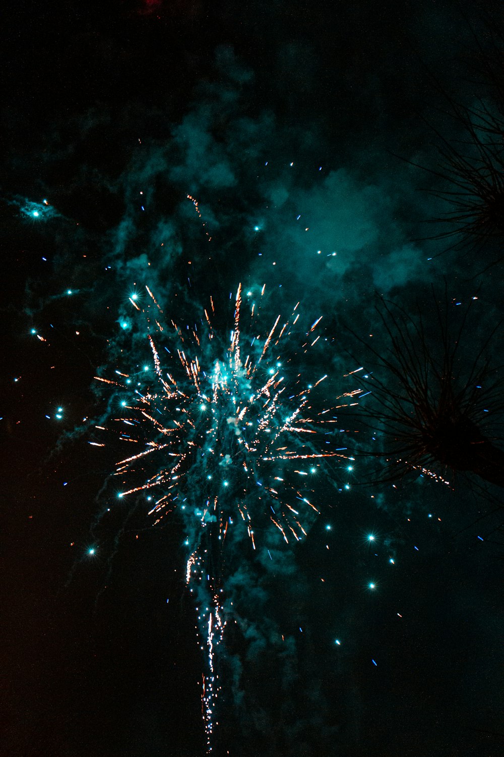 purple and white fireworks display