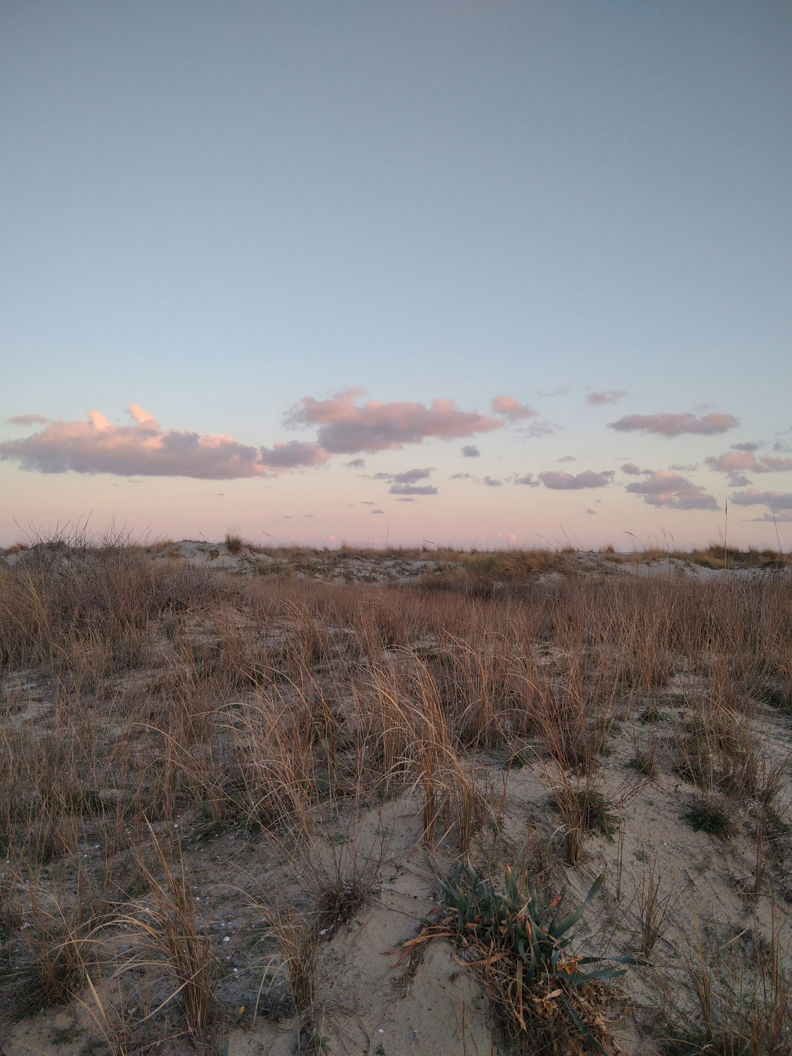 Photo by aggelikilimnos