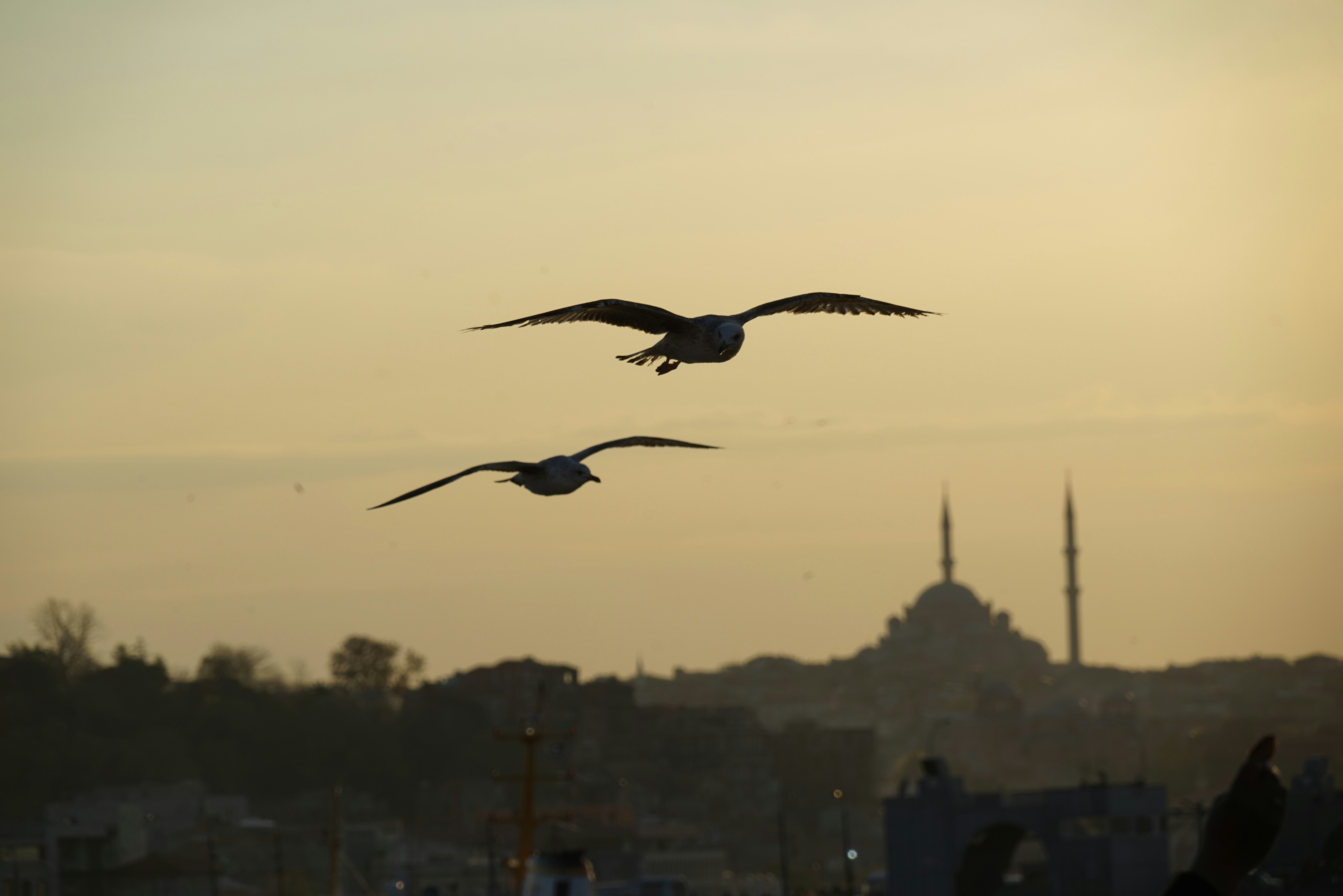 Güncel Altın Fiyatları 15 Aralık 2025