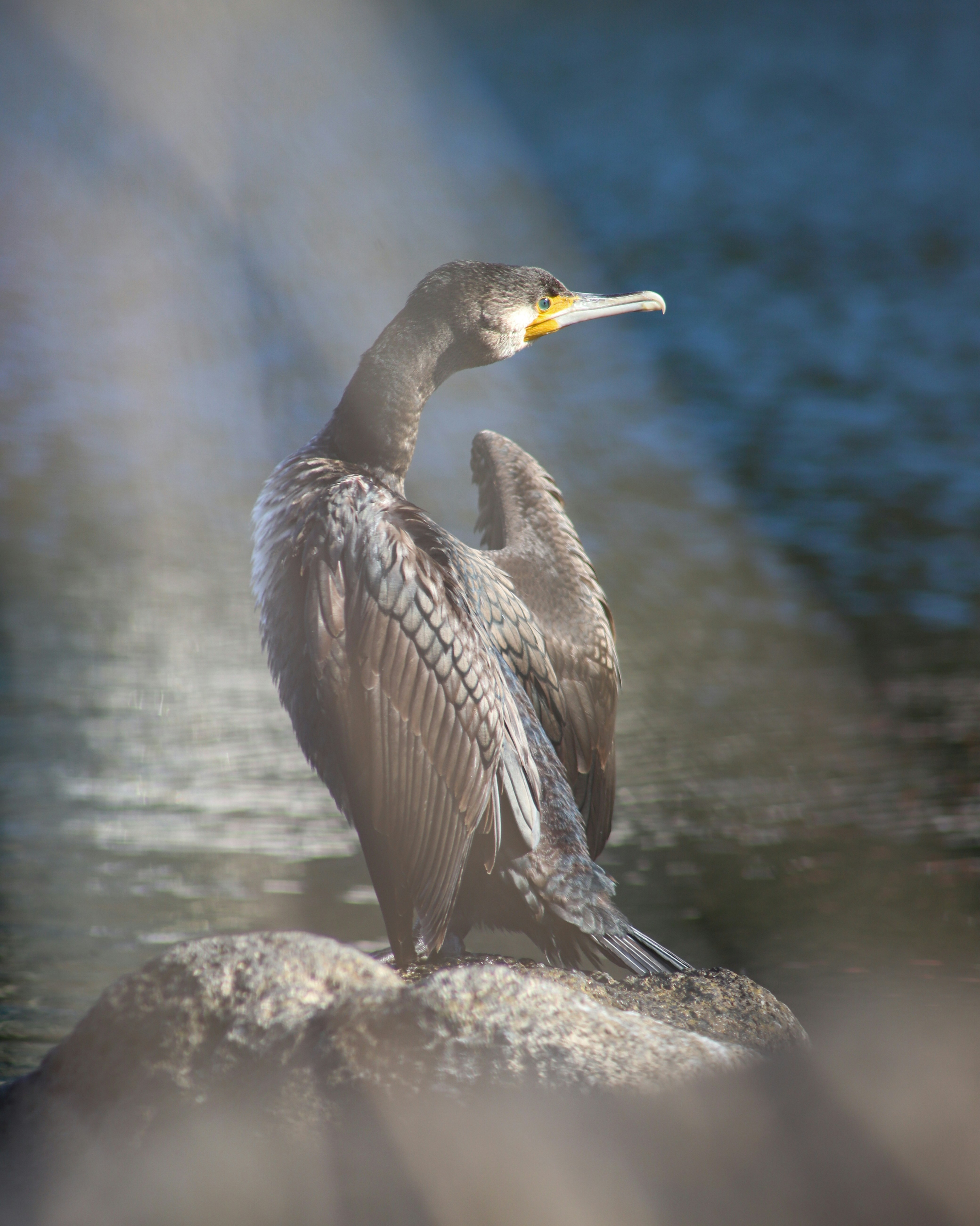 Photo by thirty_5ive_mm