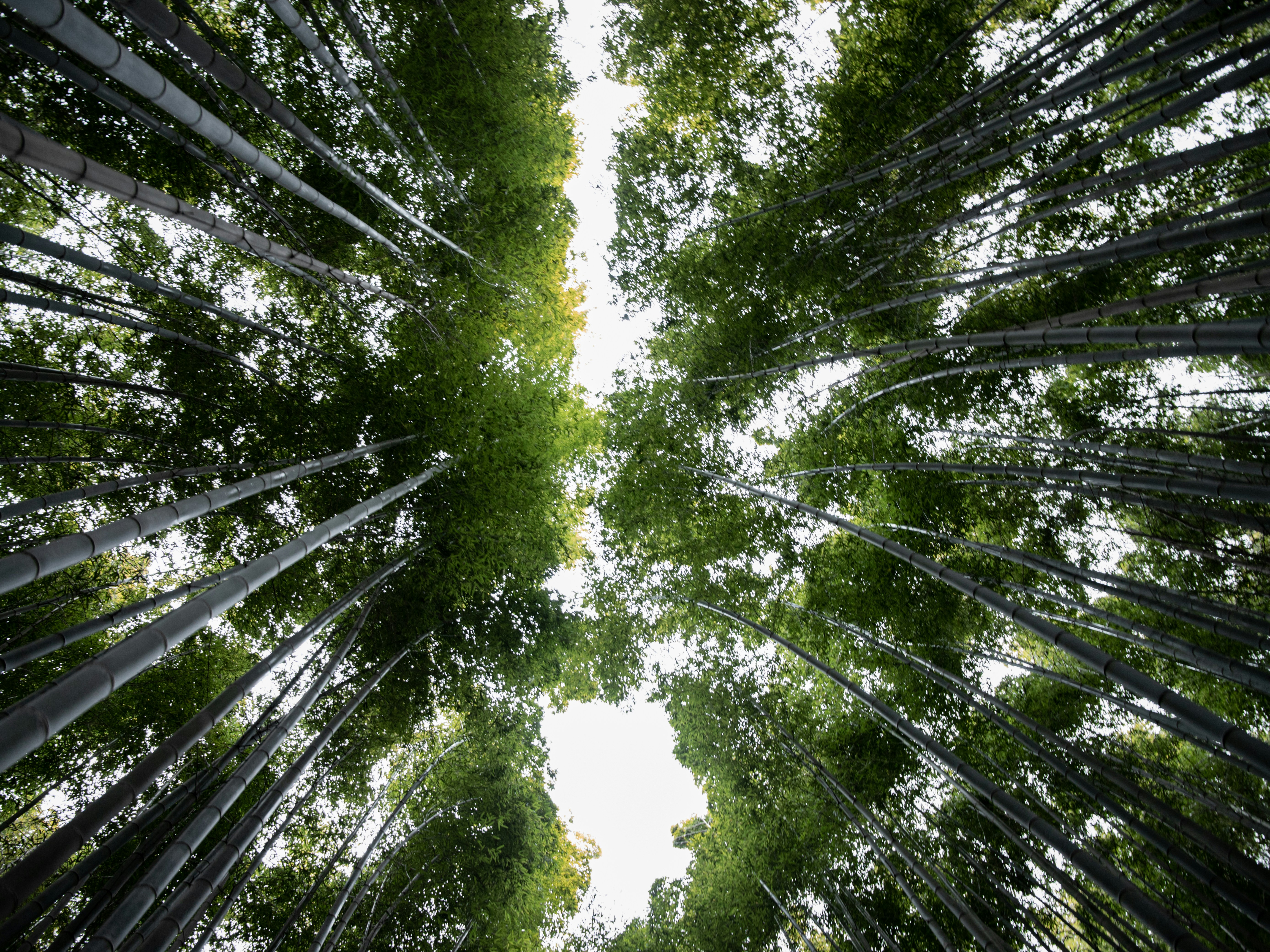 Photo by thirty_5ive_mm