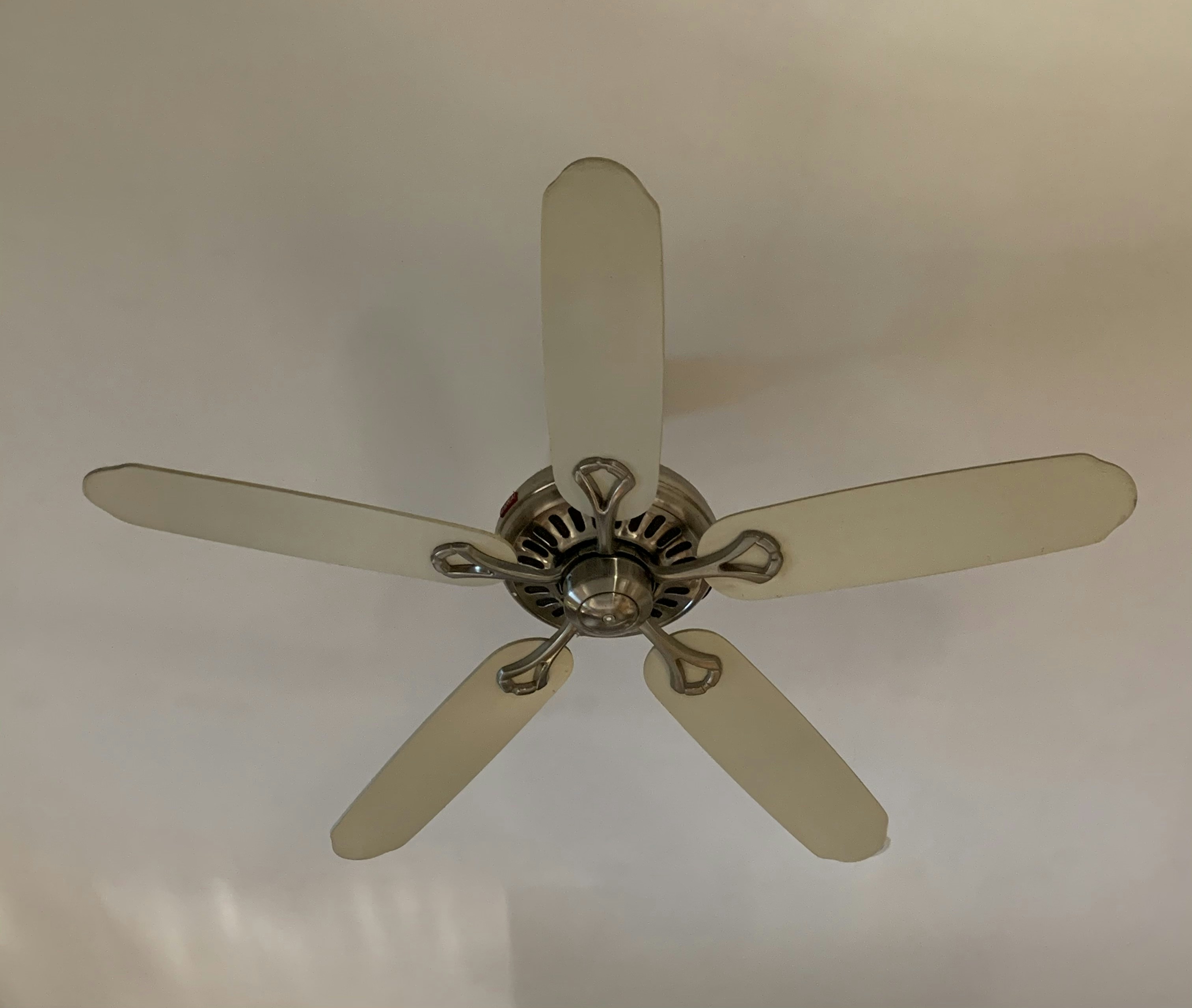 photo-1609519479841-5fd3b2884e17?ixid=M3wxMjA3fDB8MXxzZWFyY2h8Mnx8YWNvcm4lMjBmYW58ZW58MHx8fHwxNzgyNTA3OTkyfDA\u0026ixlib=rb-4.1.0