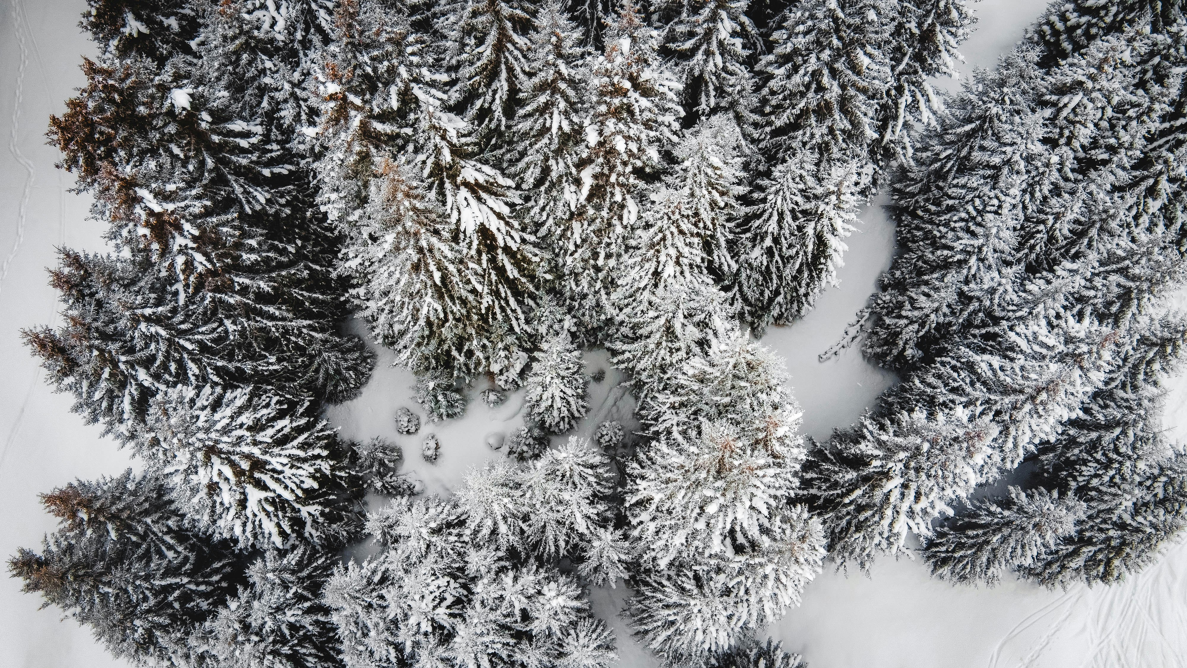 Photo by janoschphotos