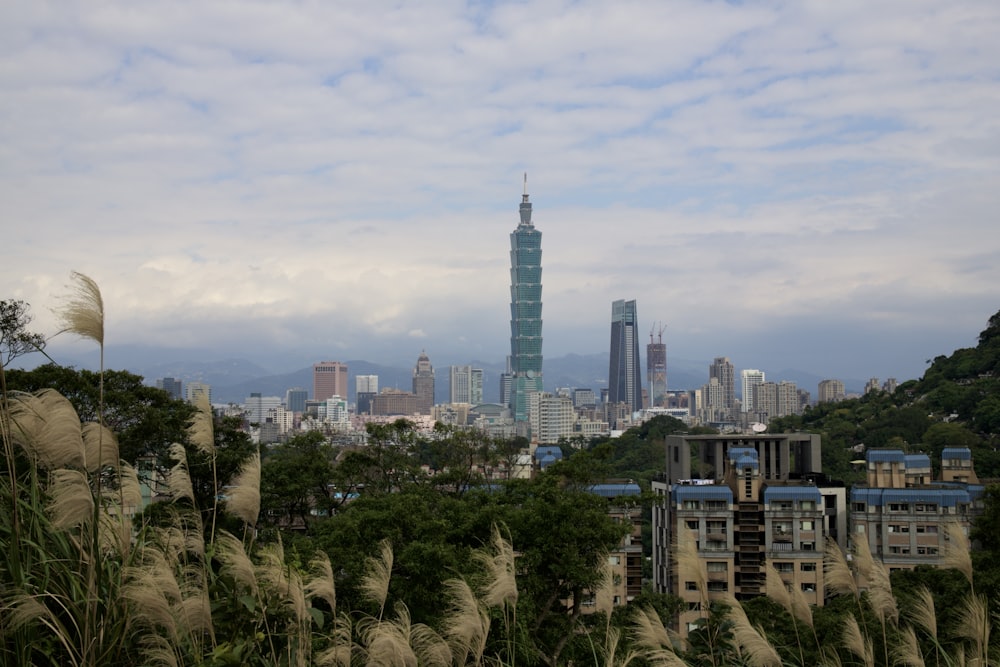 city skyline under blue sky during daytime