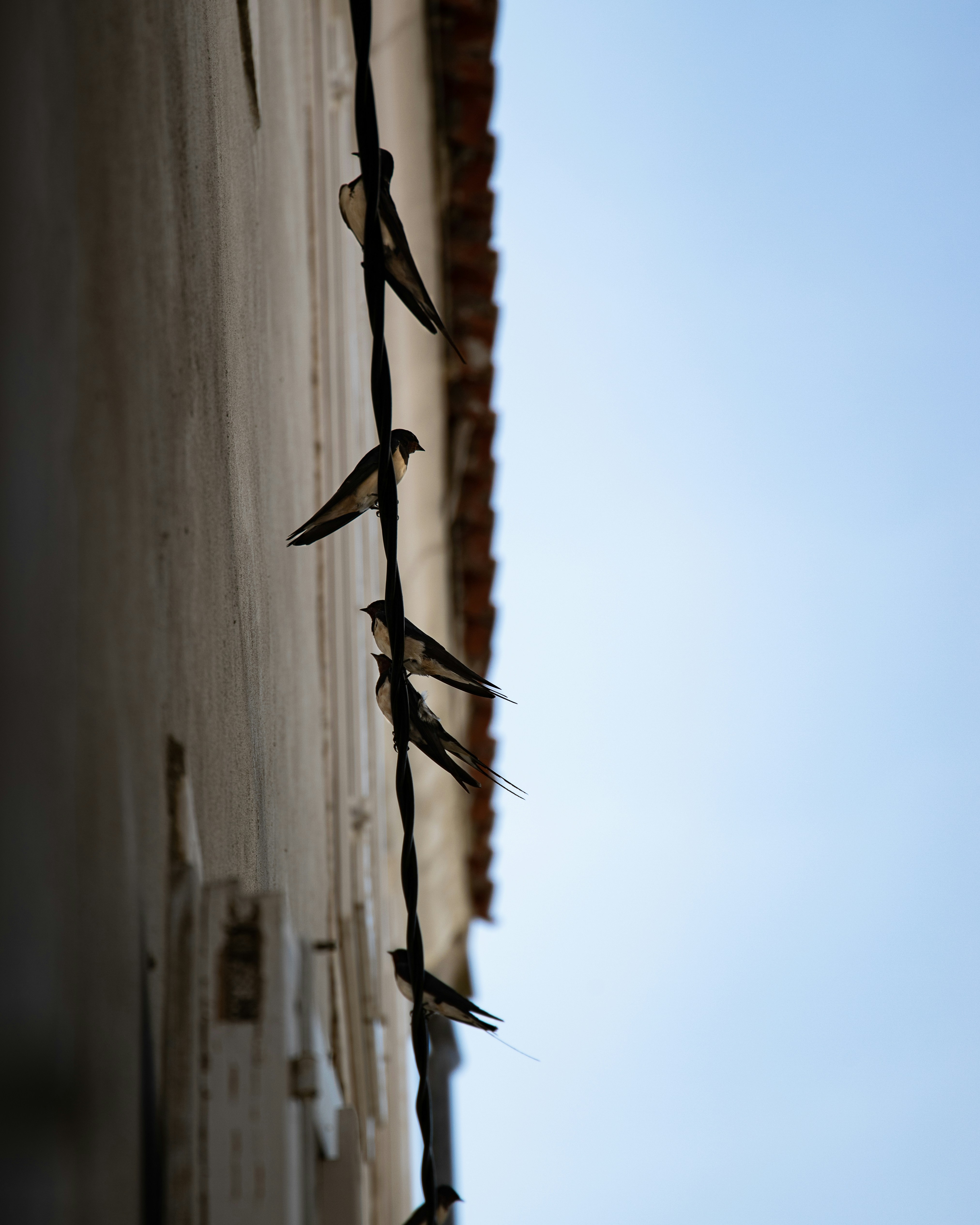 Photo by thirty_5ive_mm