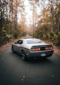 white and black chevrolet camaro on road during daytime