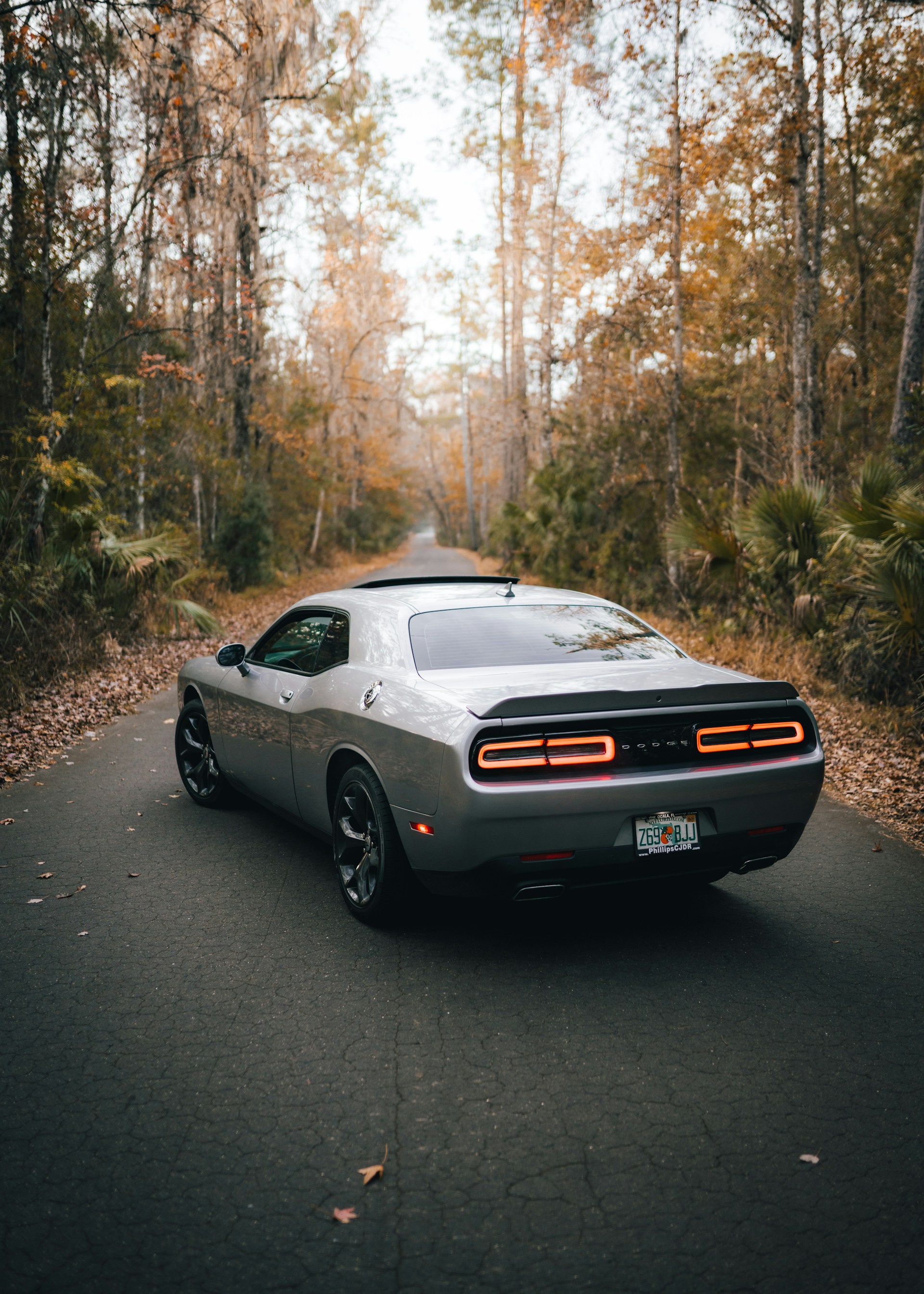 white and black chevrolet camaro on road during daytime