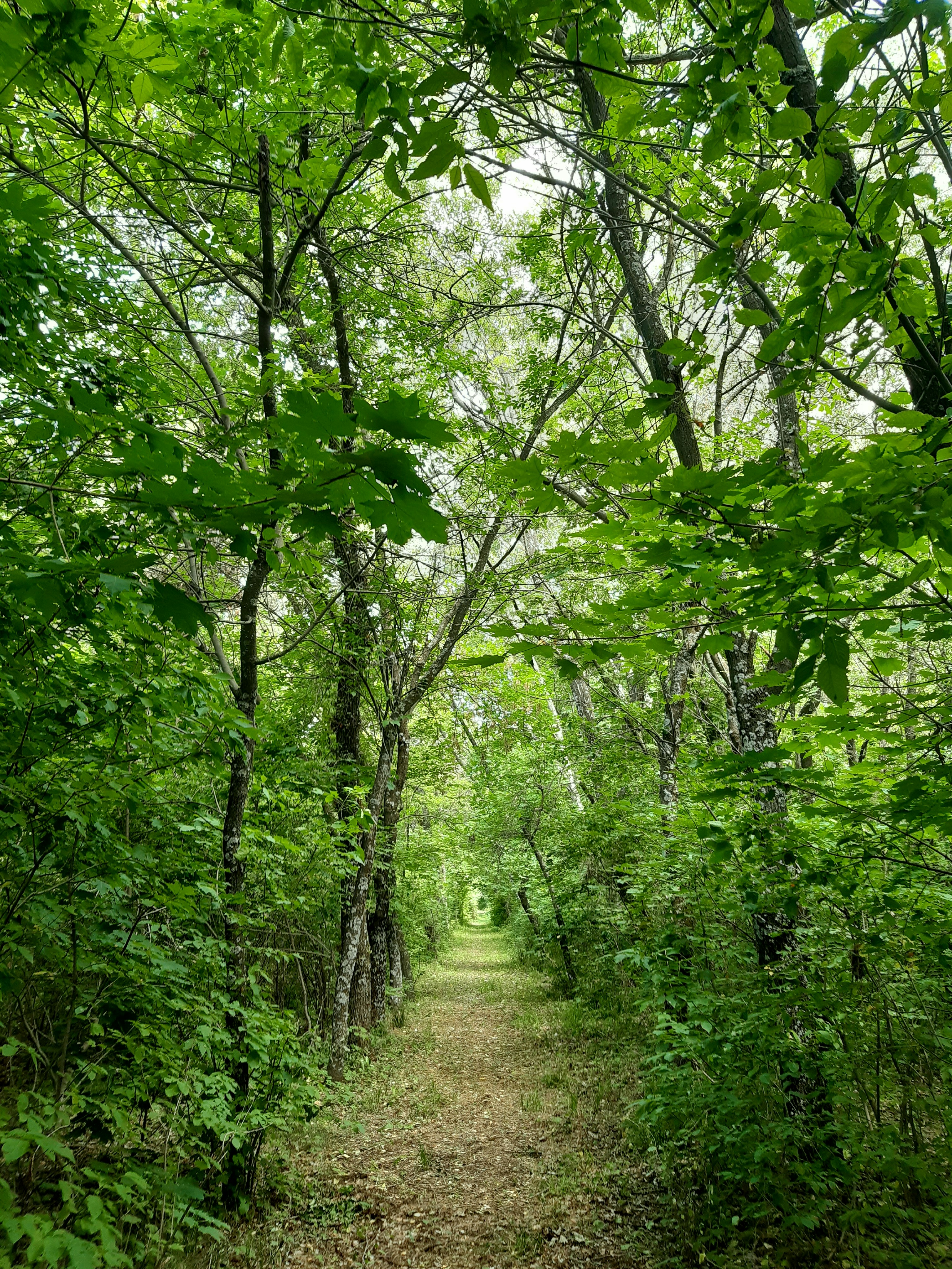 Photo by gourgenkarapetyan