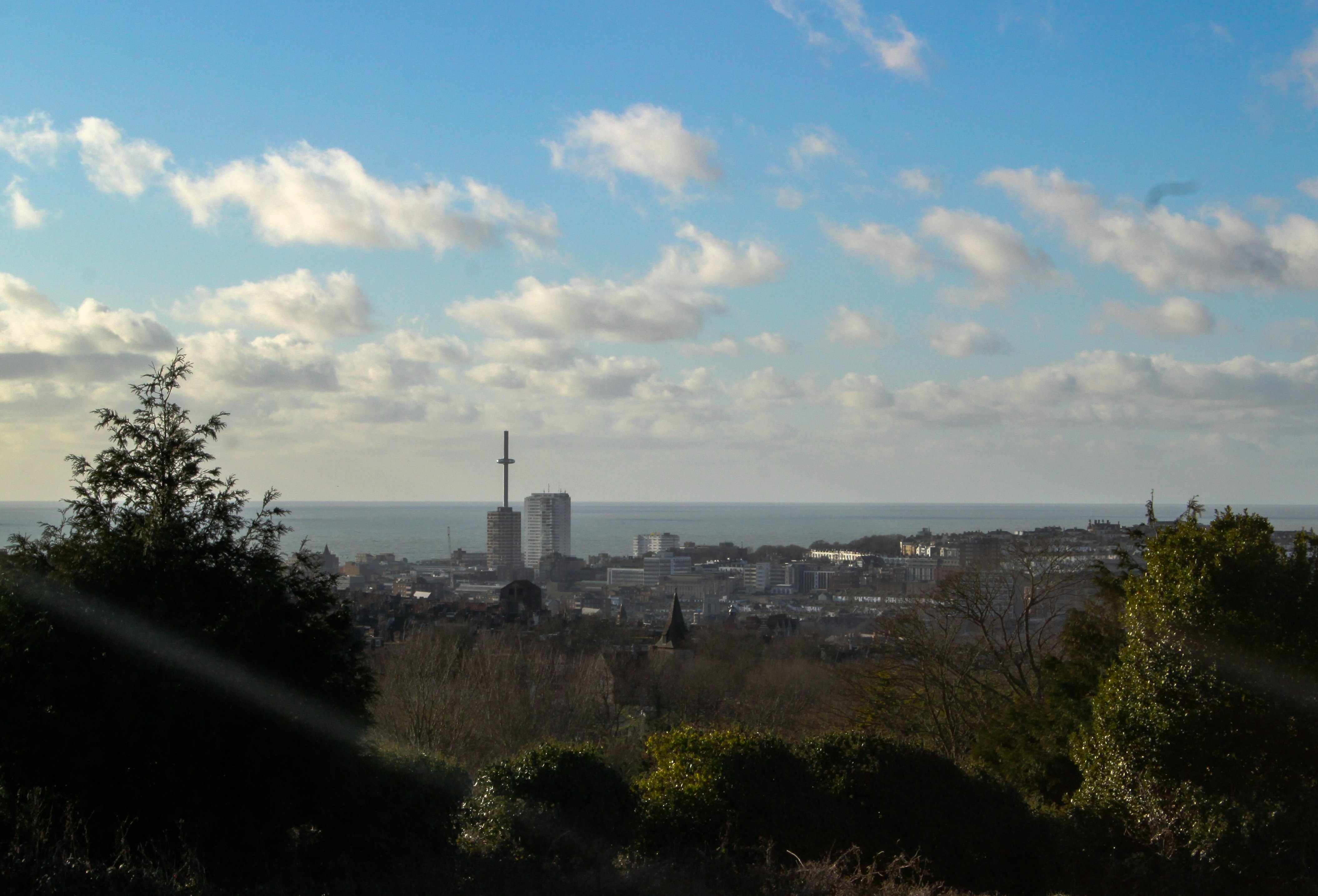 green trees and city buildings under blue sky and white clouds during daytime