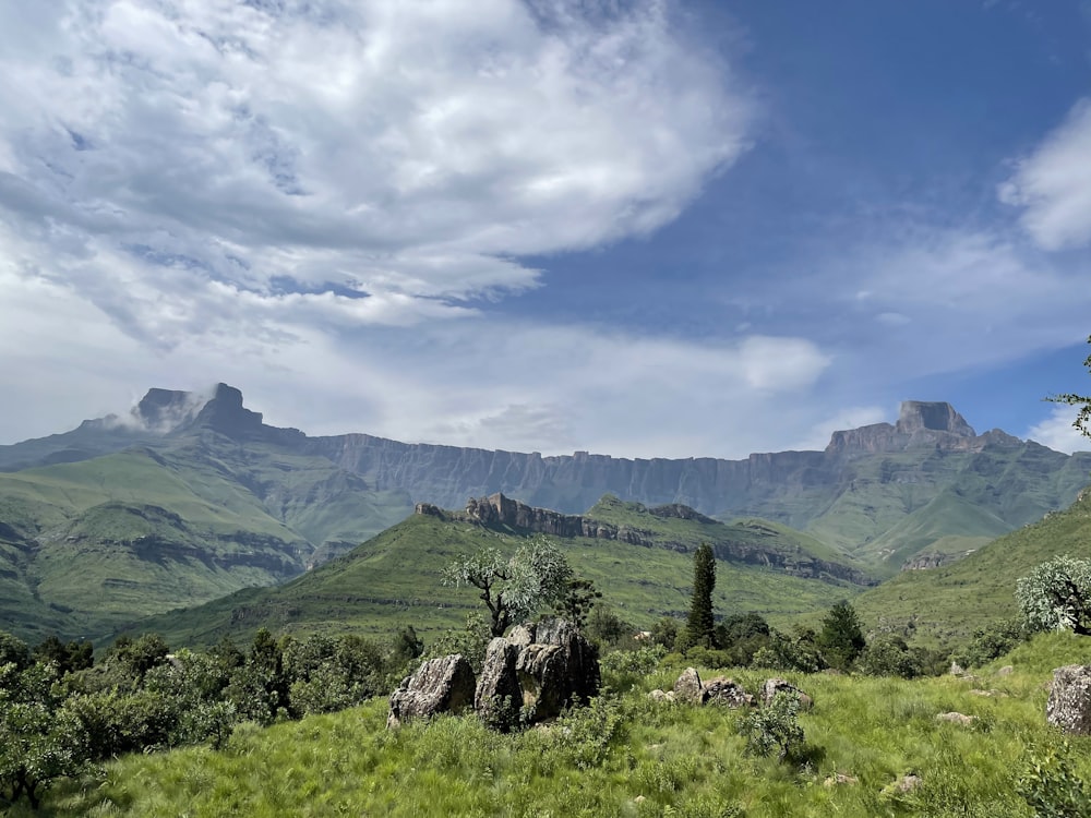 green grass field and green mountains under blue sky and white clouds during daytime